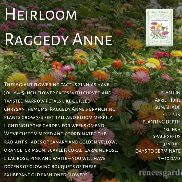 Graines de jardin de Renée