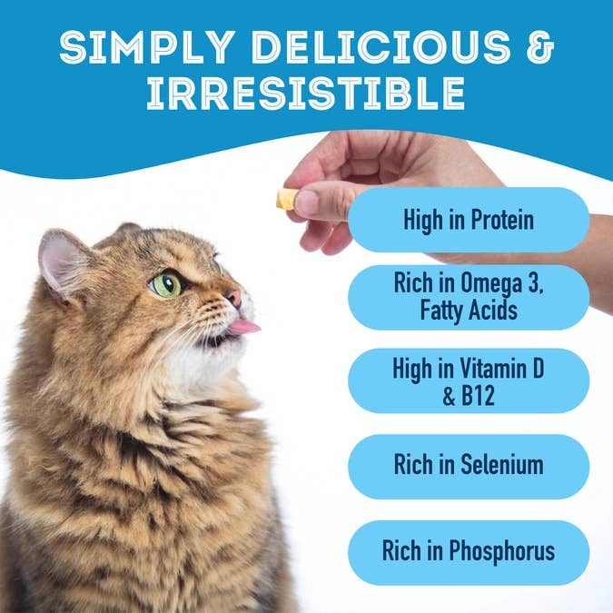Cod Skin Dehydrated Pet Treats – High-Protein, Low-Calorie Crunch for Healthy Pets