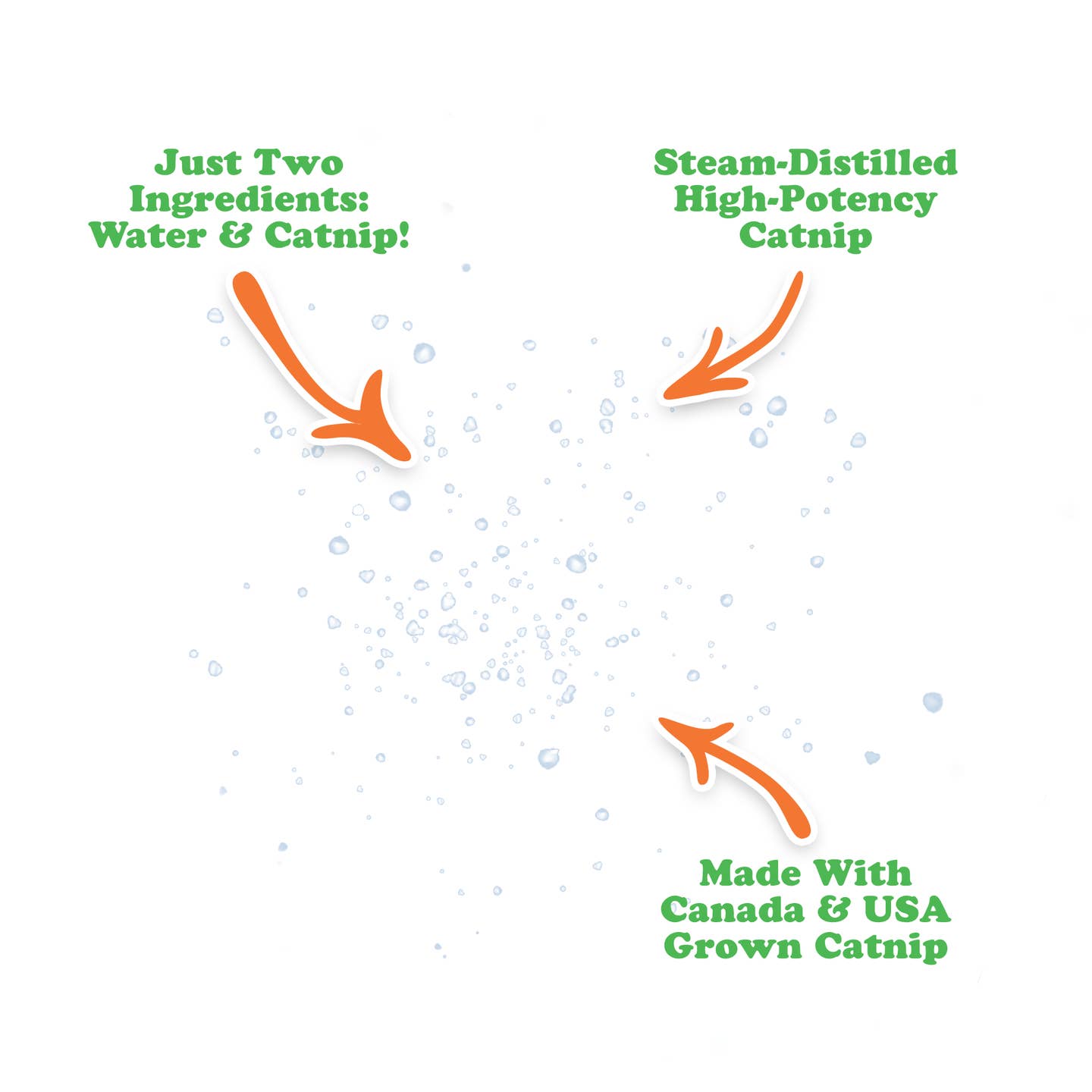 Catnip Spray – Easy, Mess-Free Herbal Fun for Cats