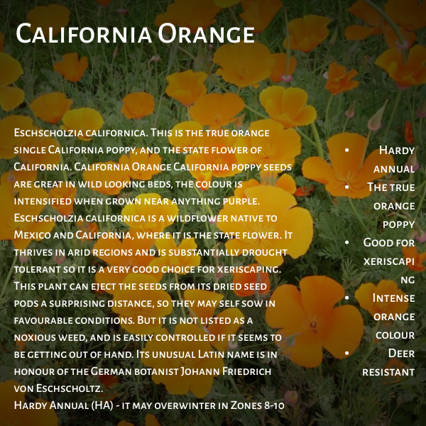West Coast Seeds