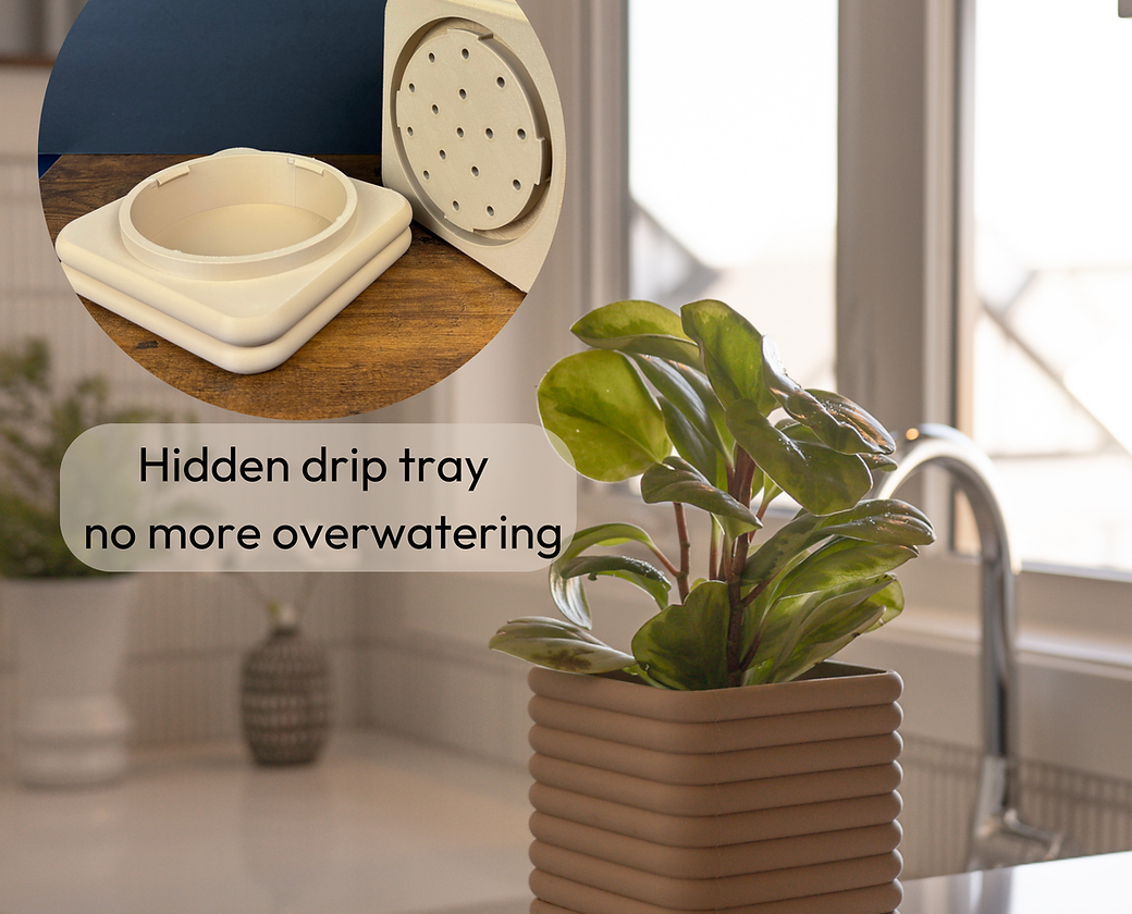 Cypress Pot – Stylish Indoor Plant Planter