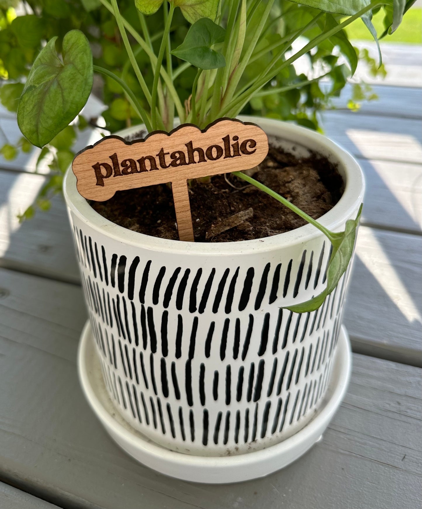 Funny Plant Stakes – Humorous Plant Markers for Pots & Gardens