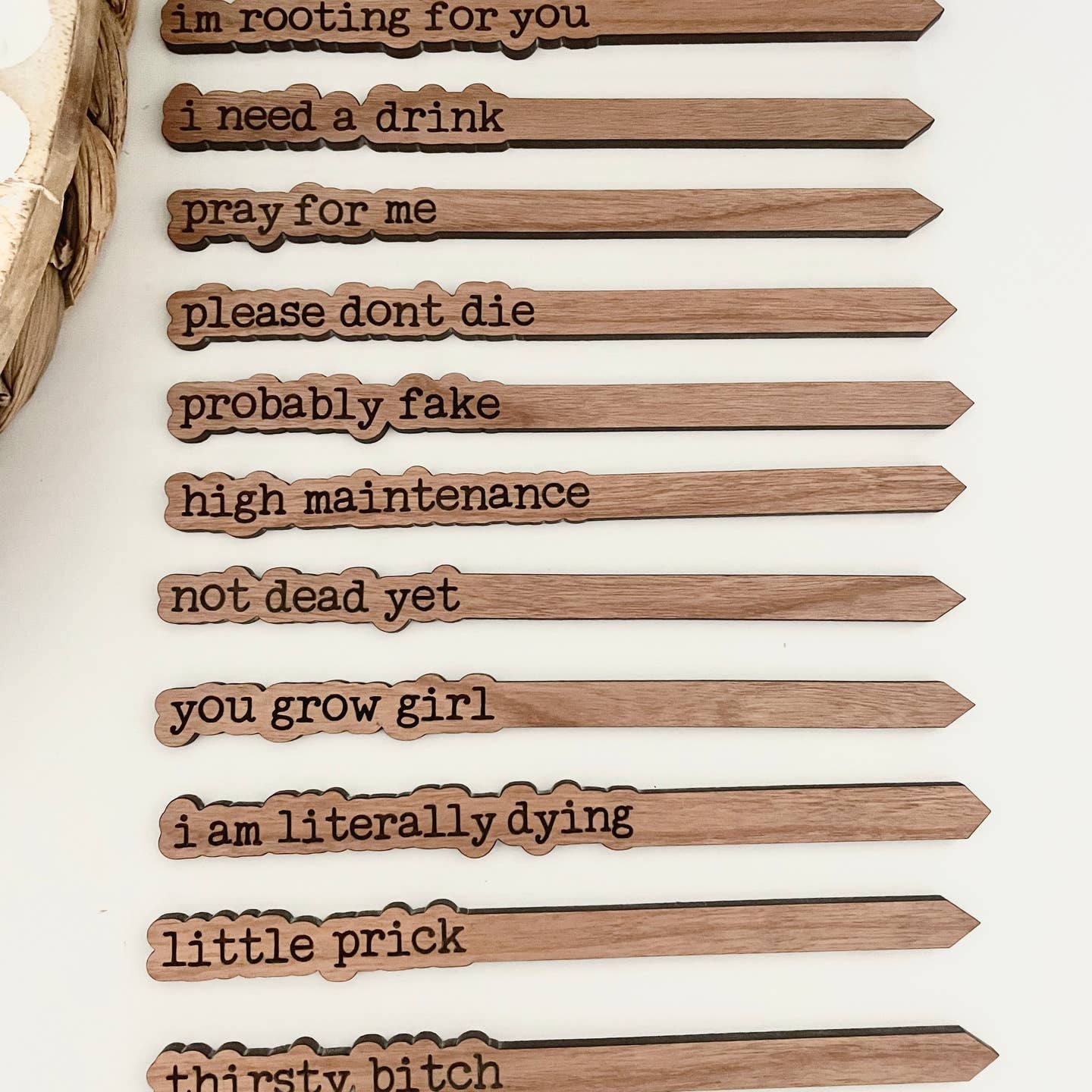 Funny Plant Stakes – Humorous Plant Markers for Pots & Gardens