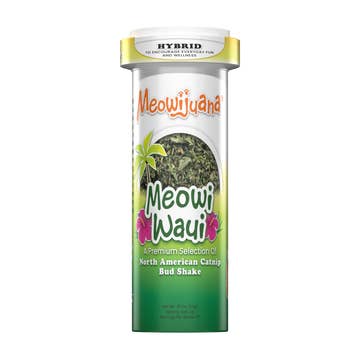 Catnip Blends – Premium Herbal Mixes for Happy, Playful Cats