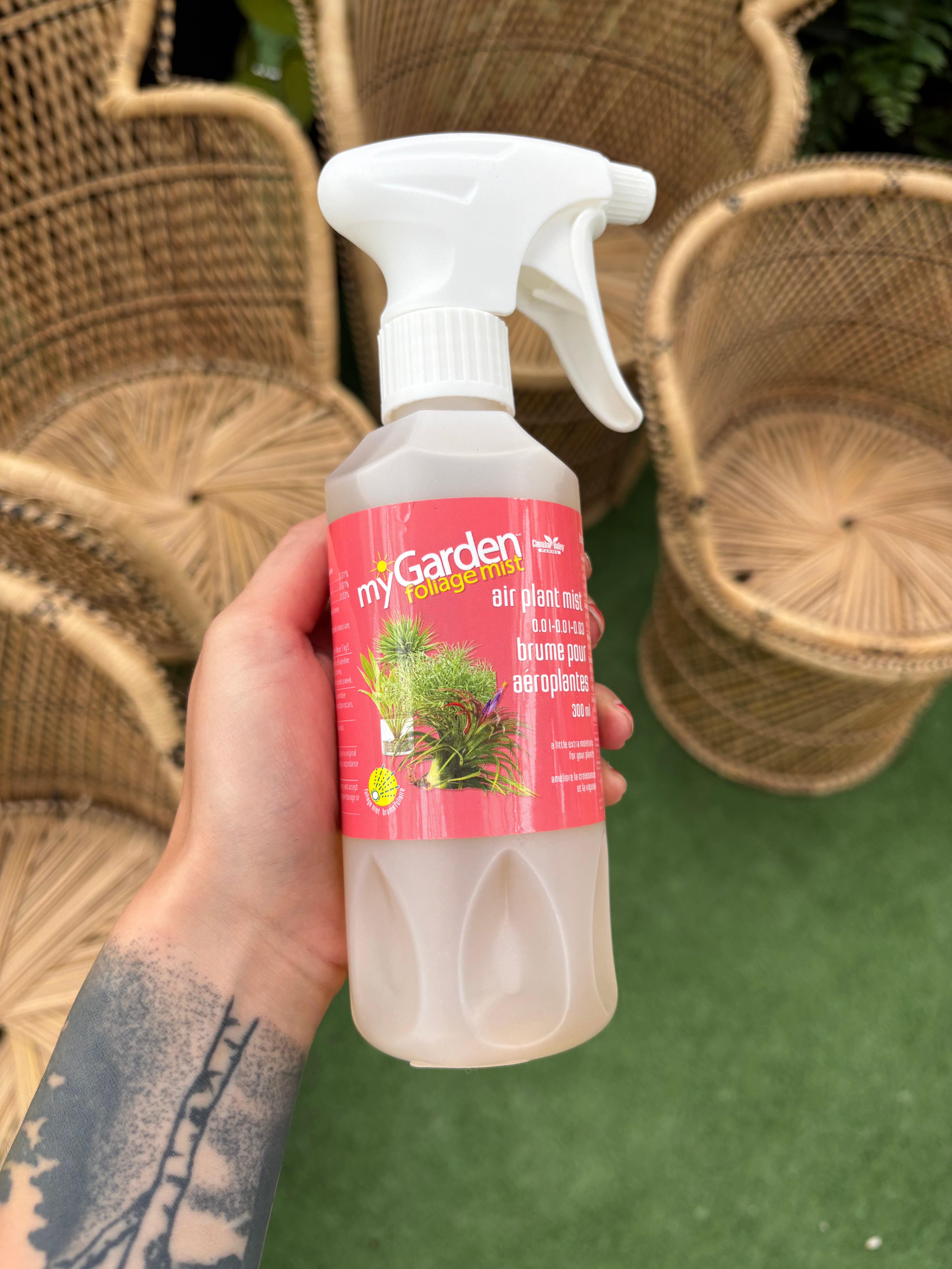 air plant spray Air Plant Foliage Mist 300ml – Refreshing Spray for Healthy Tillandsia – Urbane Eight Inc