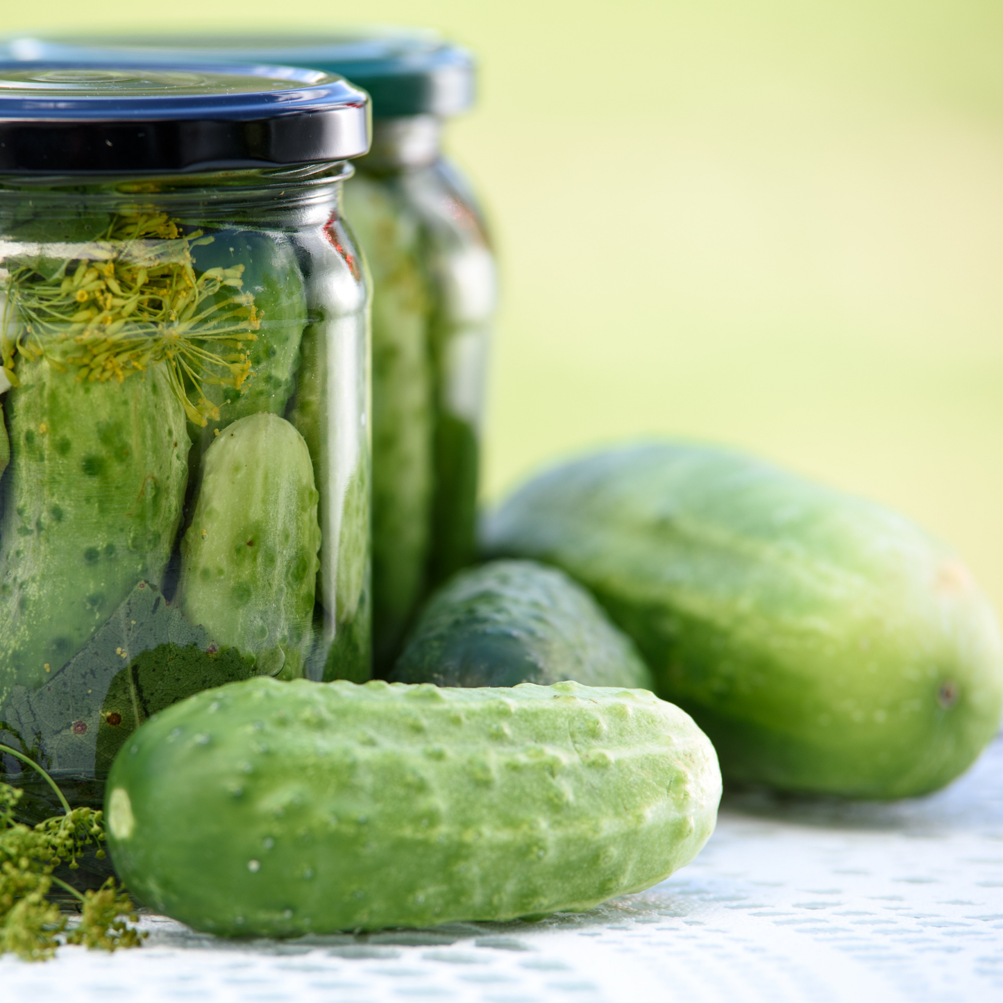 two jars with black lids of homemade pickled cucumbers with three pickles resting beside them on a white surfaces