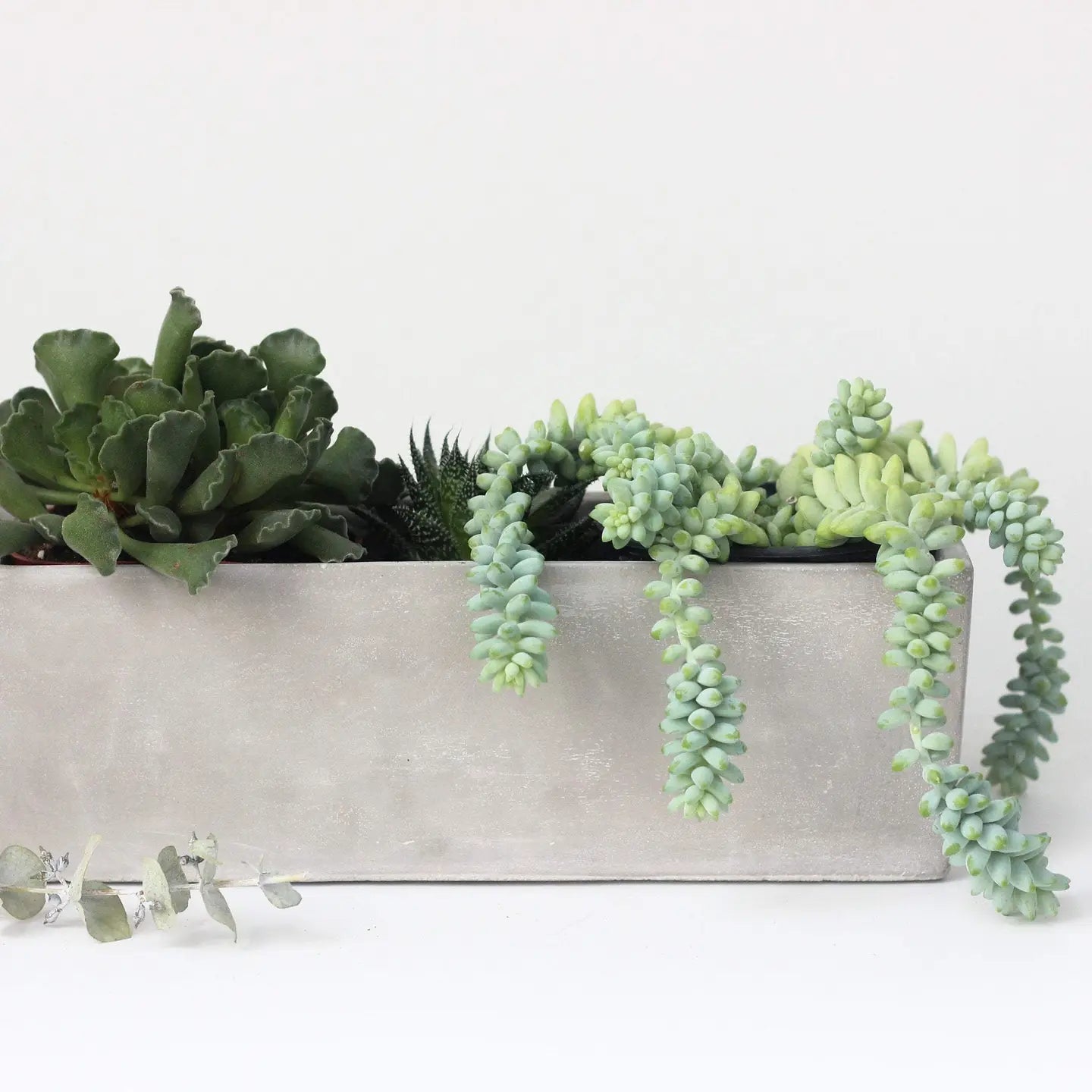 Ceramic/Concrete Rectangle Planter Box