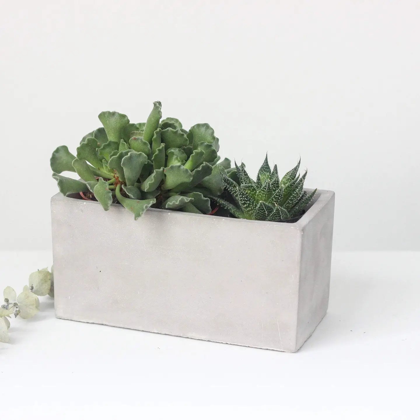 Ceramic/Concrete Rectangle Planter Box