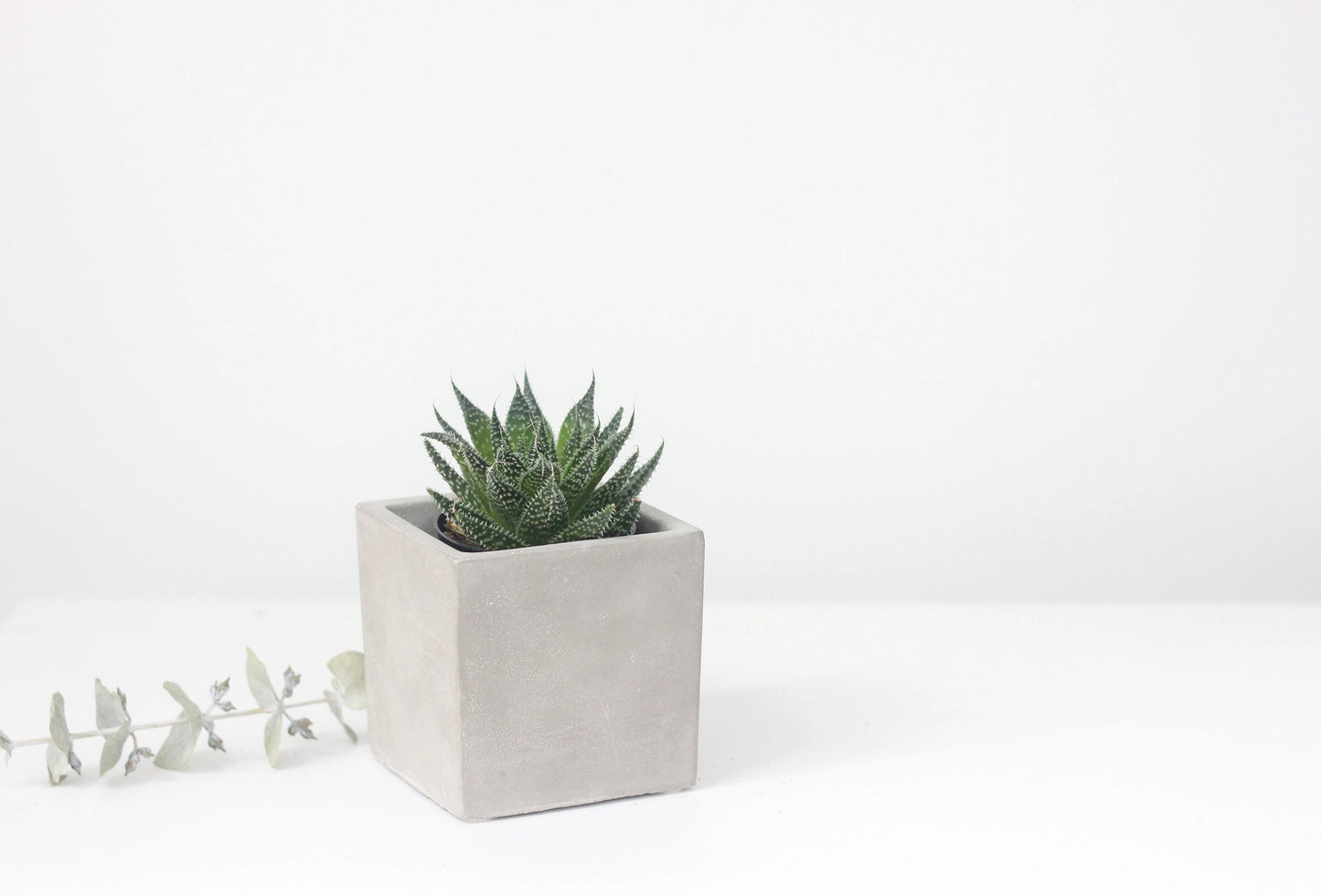 Cube Planter 3" – Modern Small Indoor Plant Pot