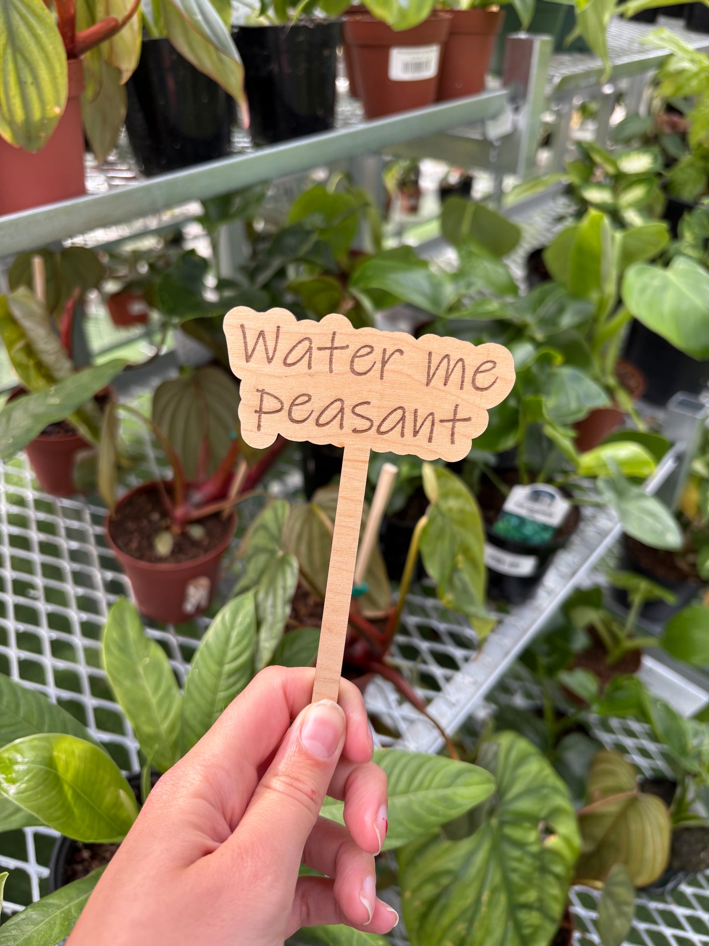 Funny Plant Stakes – Humorous Plant Markers for Pots & Gardens