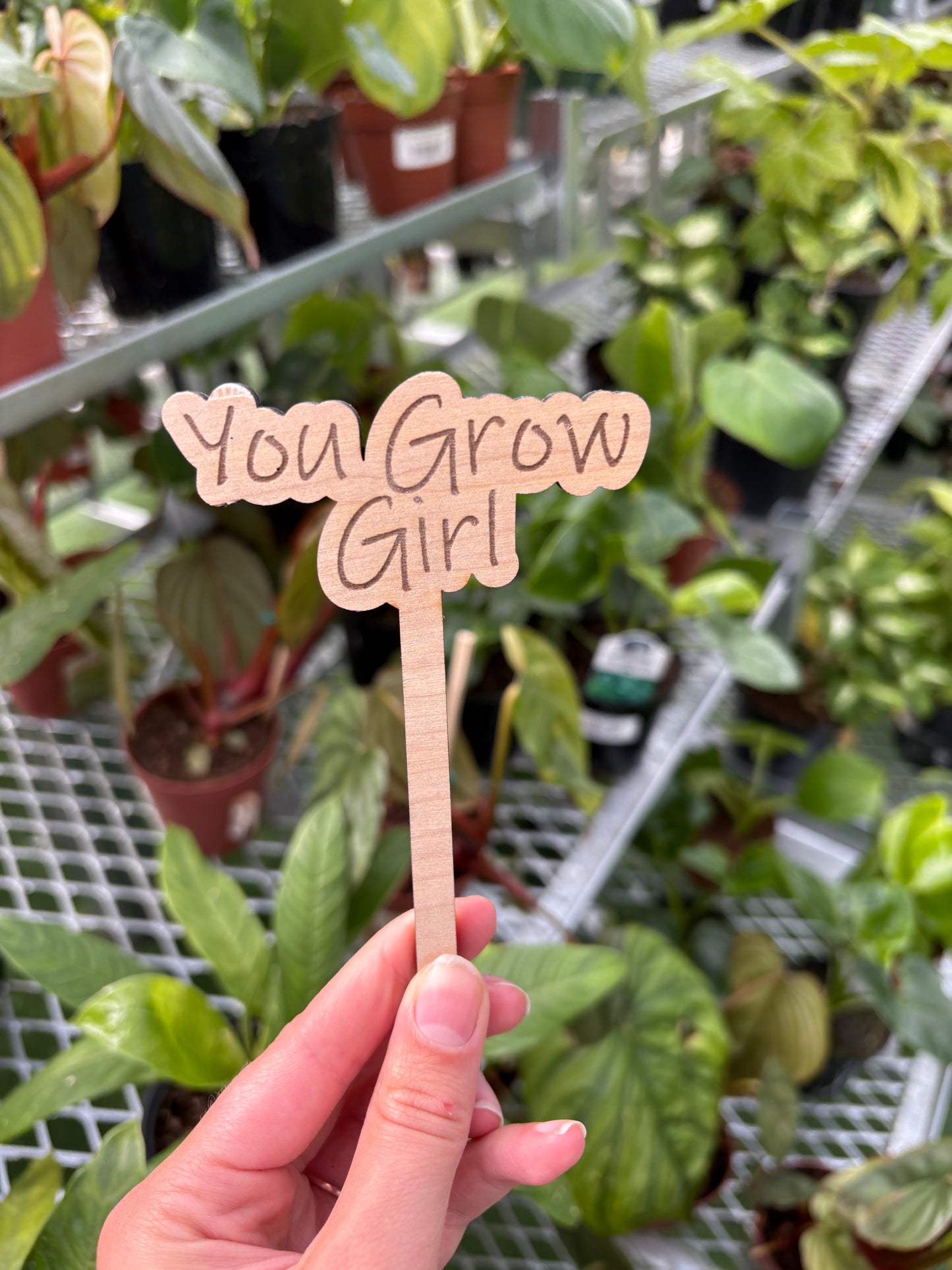 Funny Plant Stakes – Humorous Plant Markers for Pots & Gardens