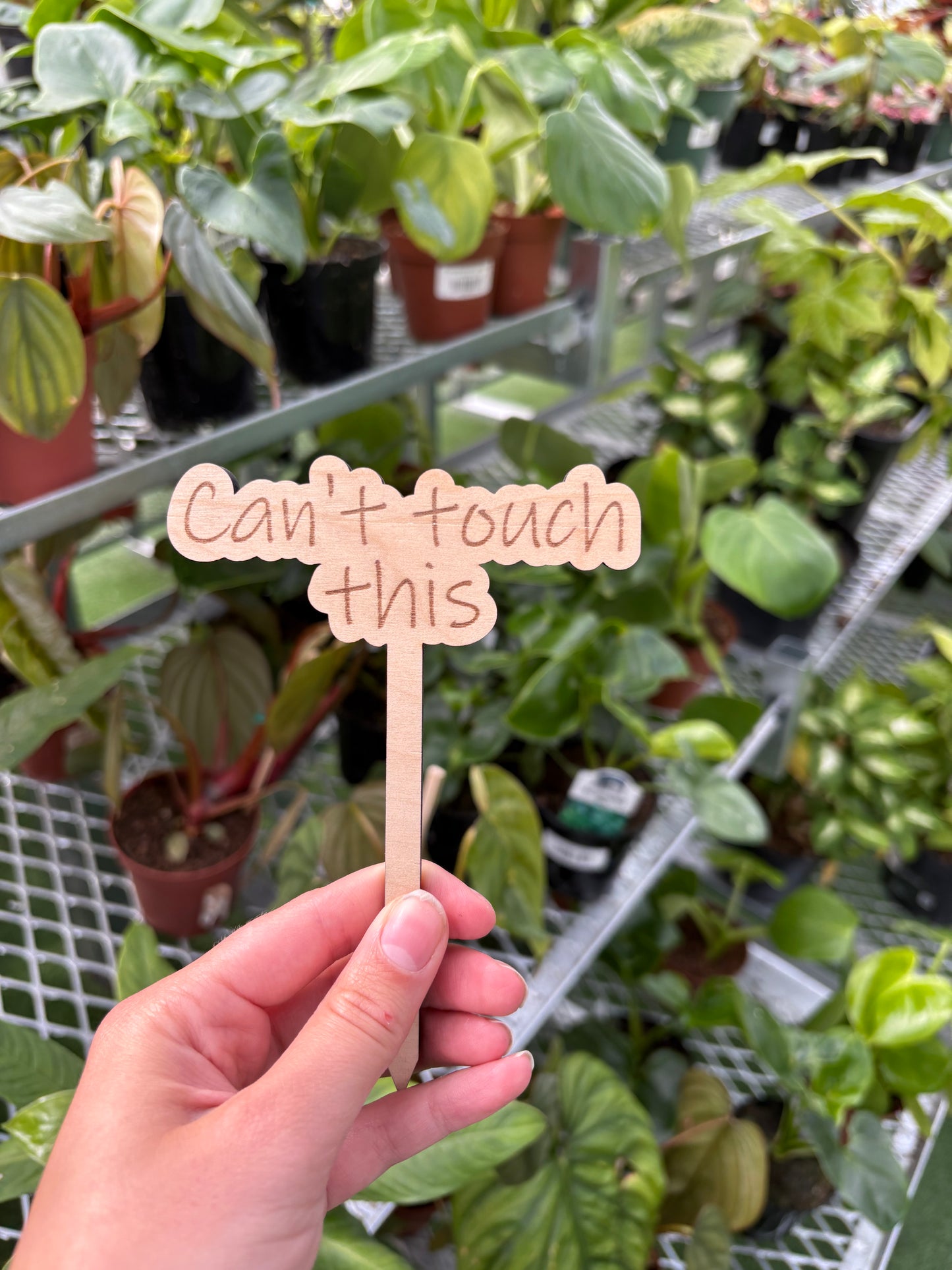 Funny Plant Stakes – Humorous Plant Markers for Pots & Gardens