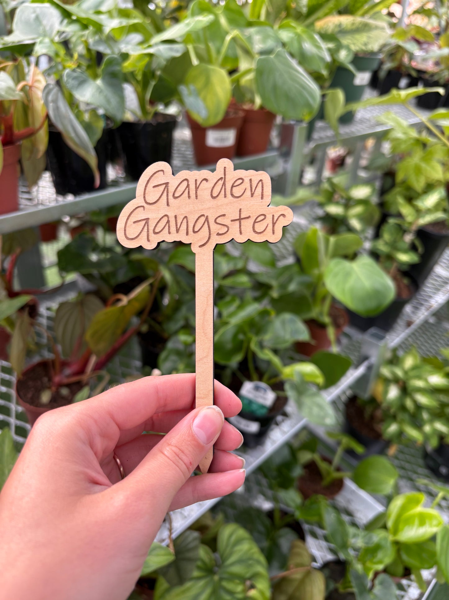 Funny Plant Stakes – Humorous Plant Markers for Pots & Gardens