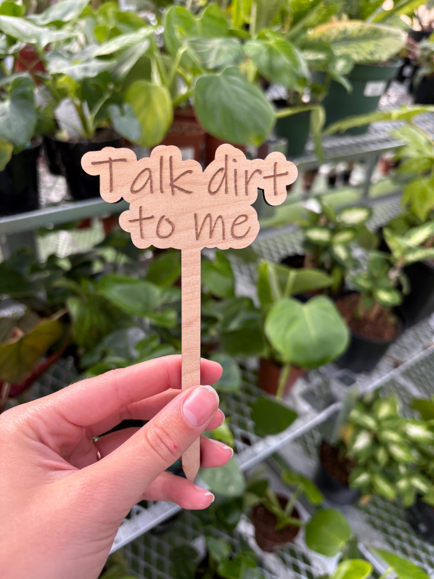 Funny Plant Stakes – Humorous Plant Markers for Pots & Gardens