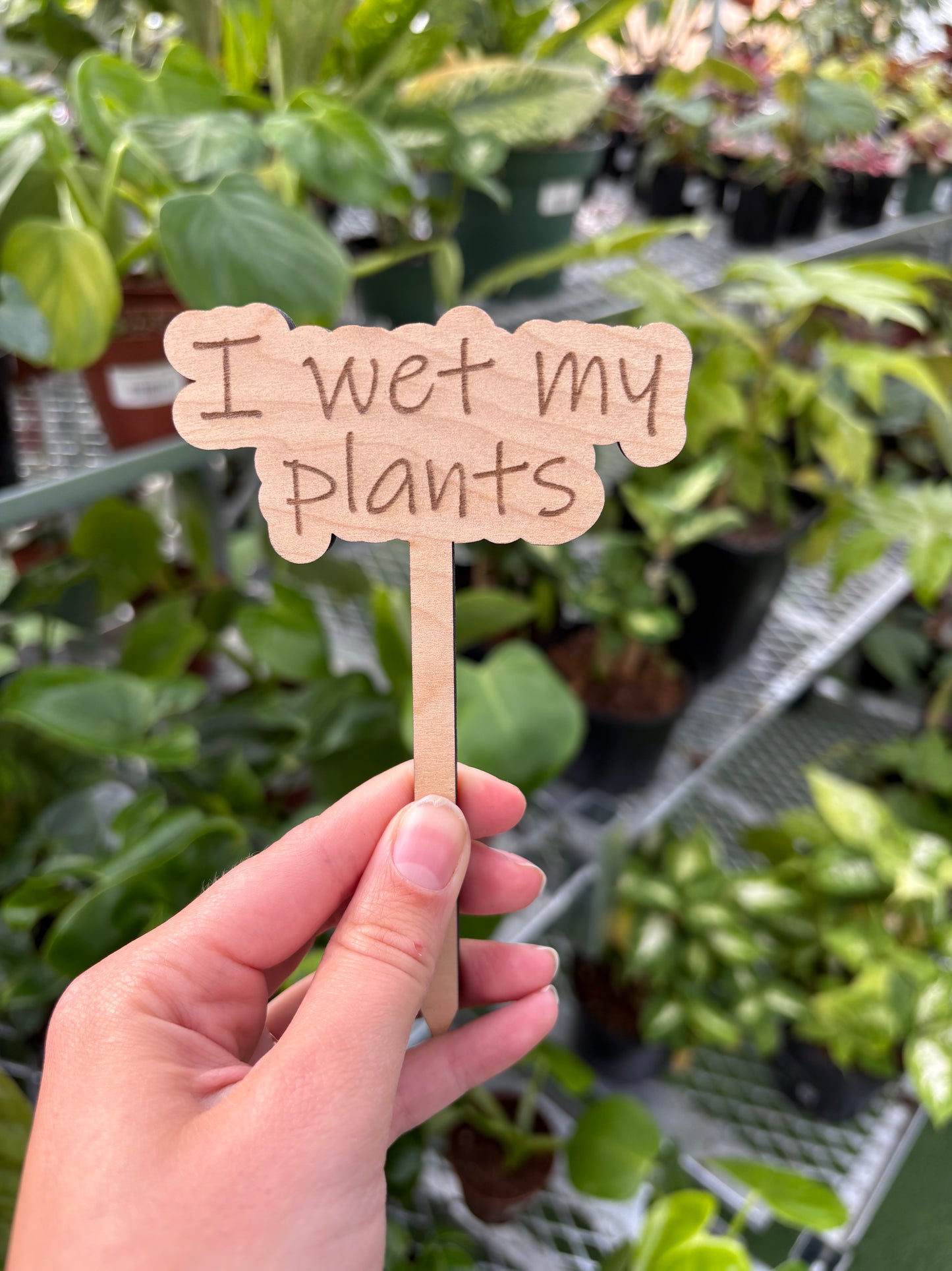 Funny Plant Stakes – Humorous Plant Markers for Pots & Gardens