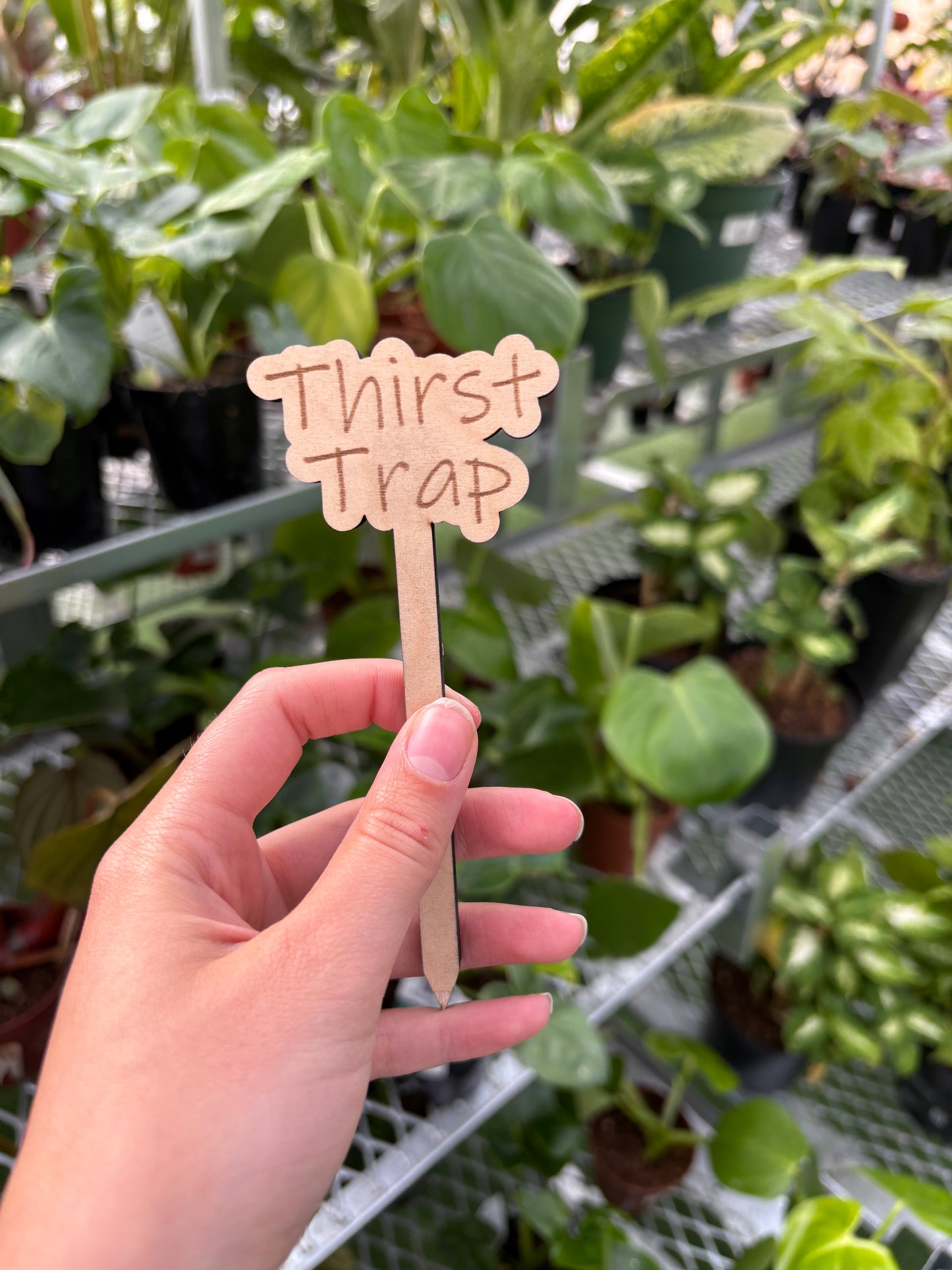 Funny Plant Stakes – Humorous Plant Markers for Pots & Gardens