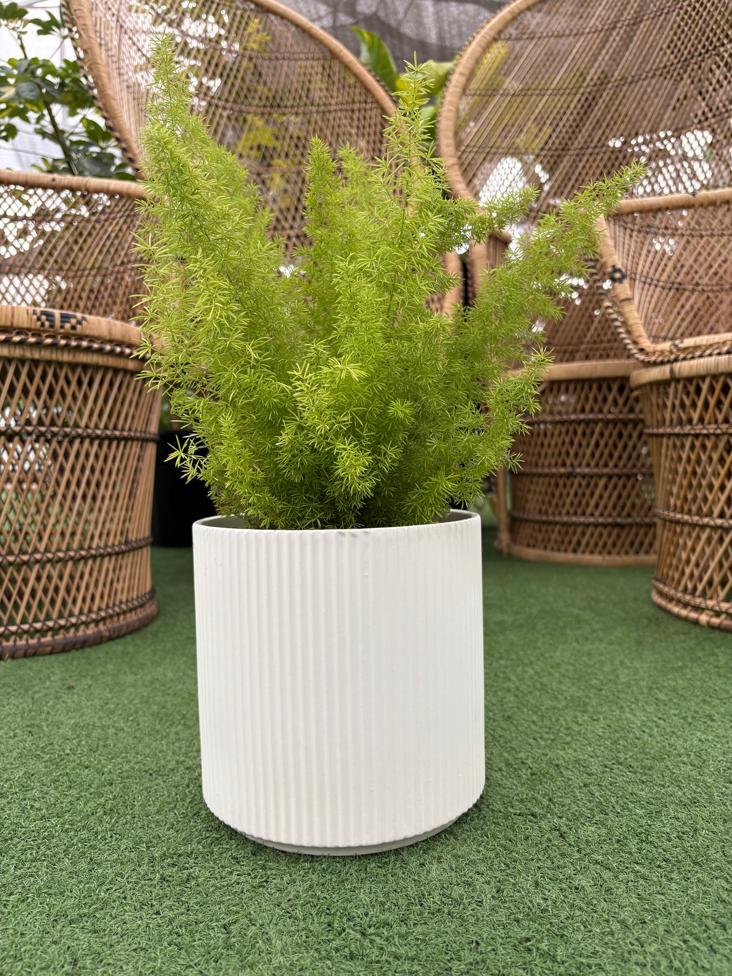 Pot cannelé blanc Evelyn