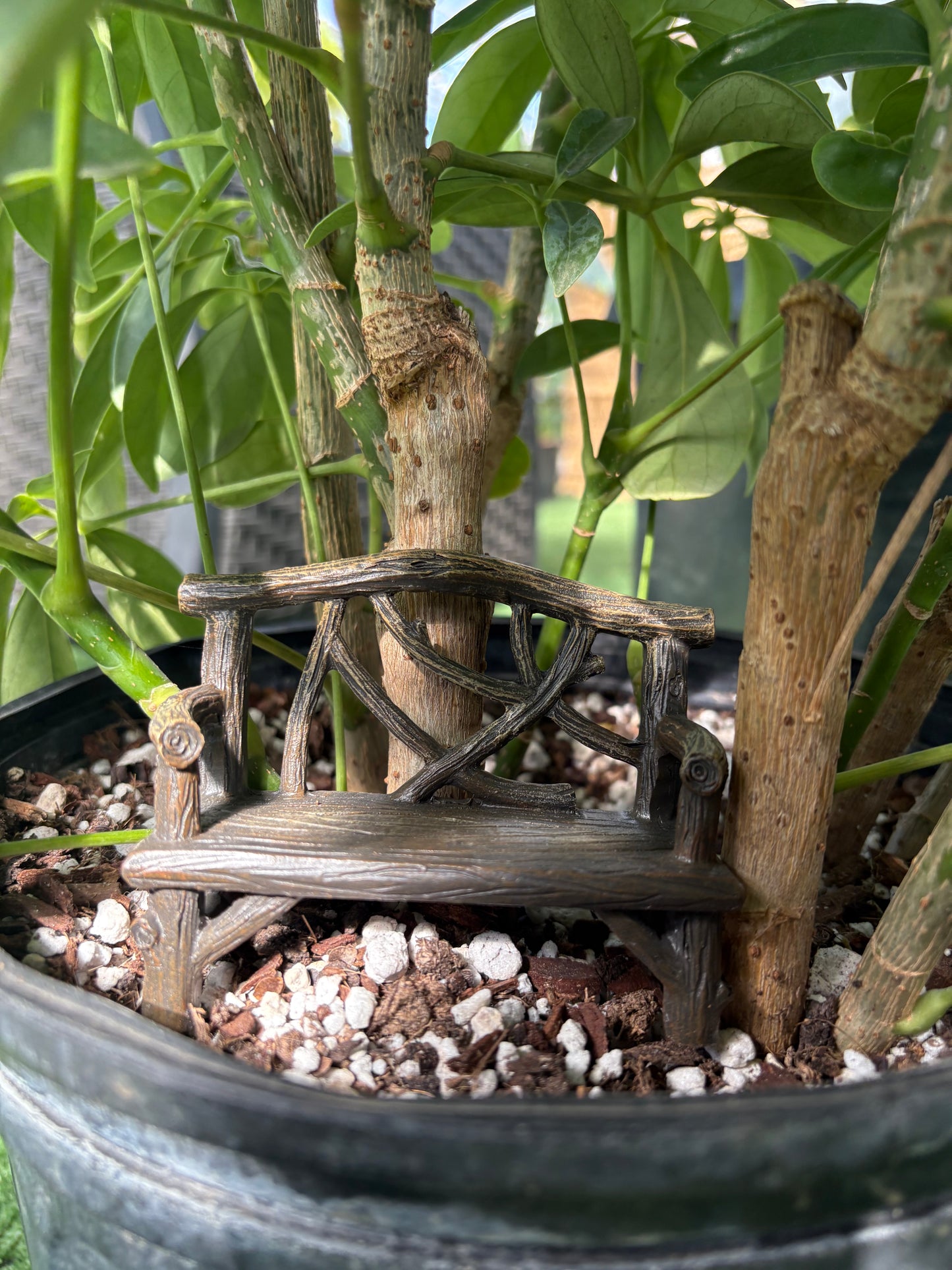 Fairy Bench
