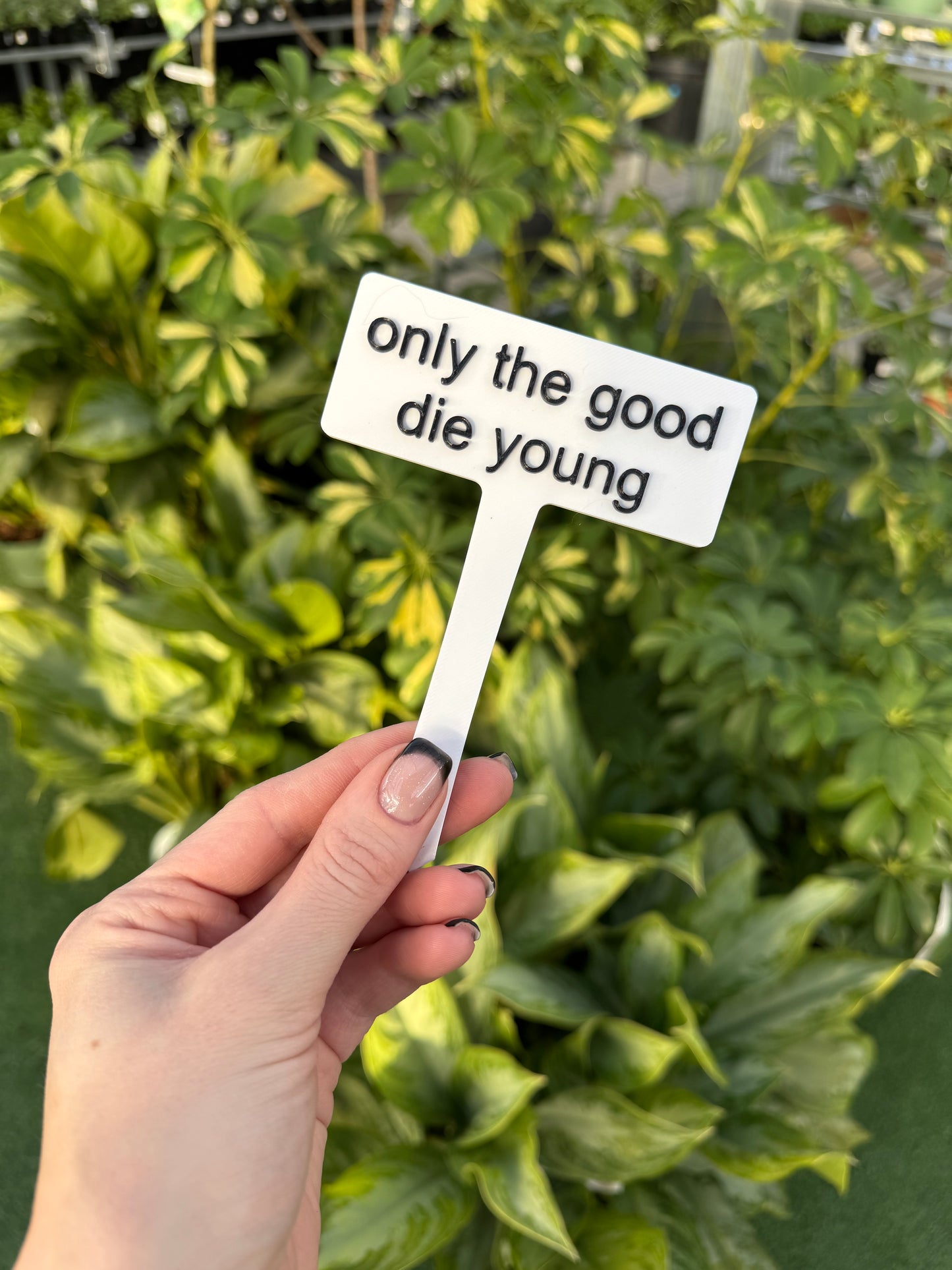 Funny Plant Stakes – Humorous Plant Markers for Pots & Gardens