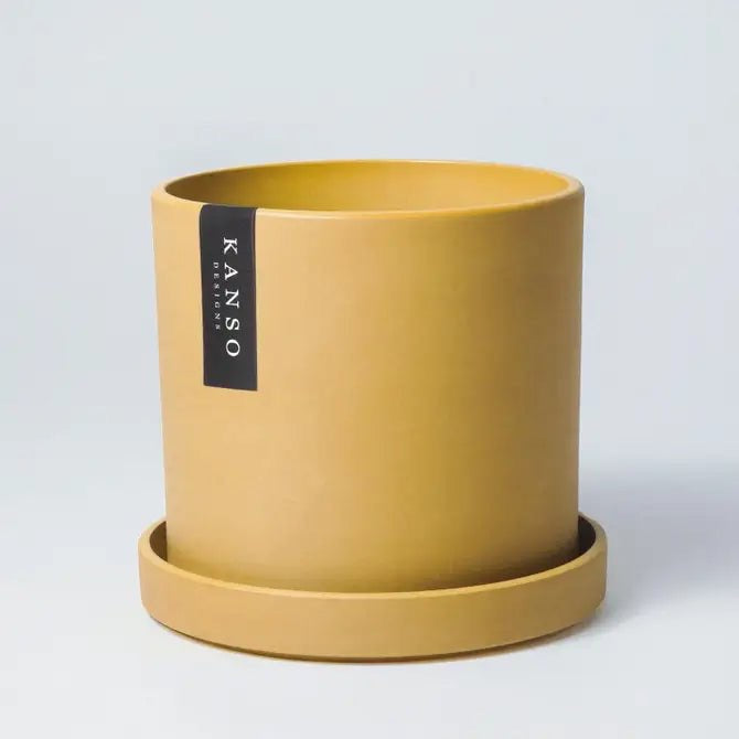 Mustard Yellow planter with saucer on a light gray background