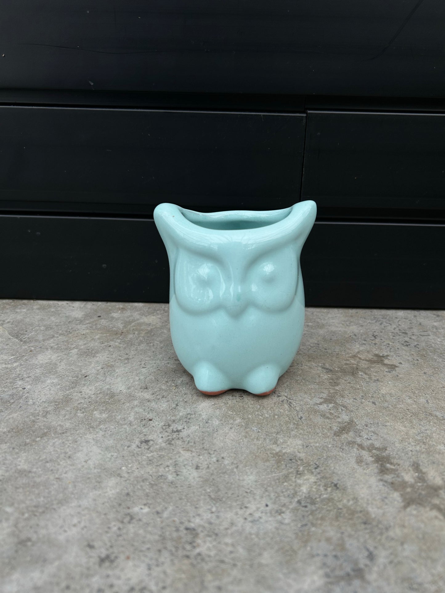 Character Pots – Small Decorative Indoor Planters