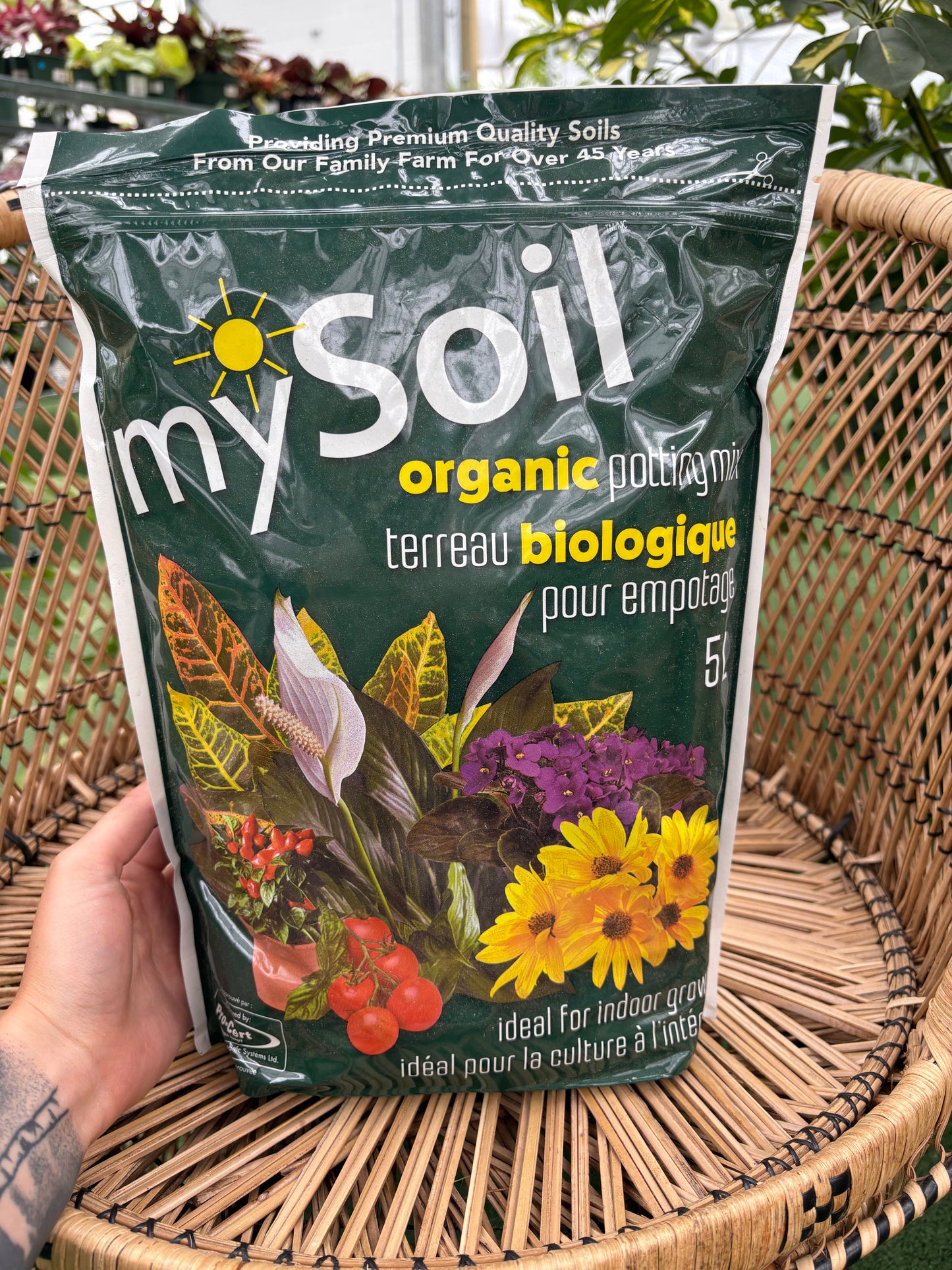 Hand holding a package of mySoil organic potting soil with a wicker chair and plants in the background.