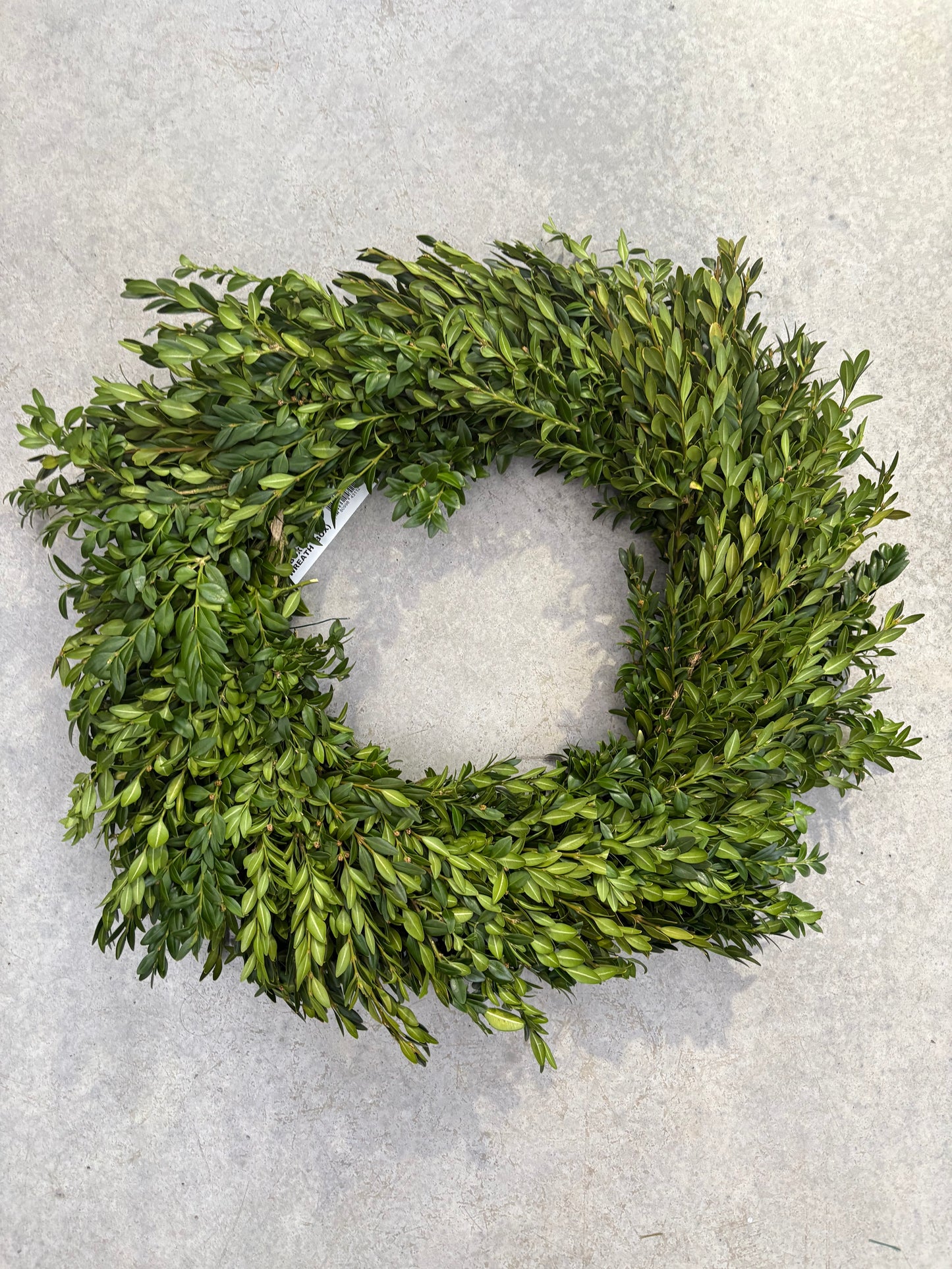 Green Round Boxwood Wreath 20" on a light gray background