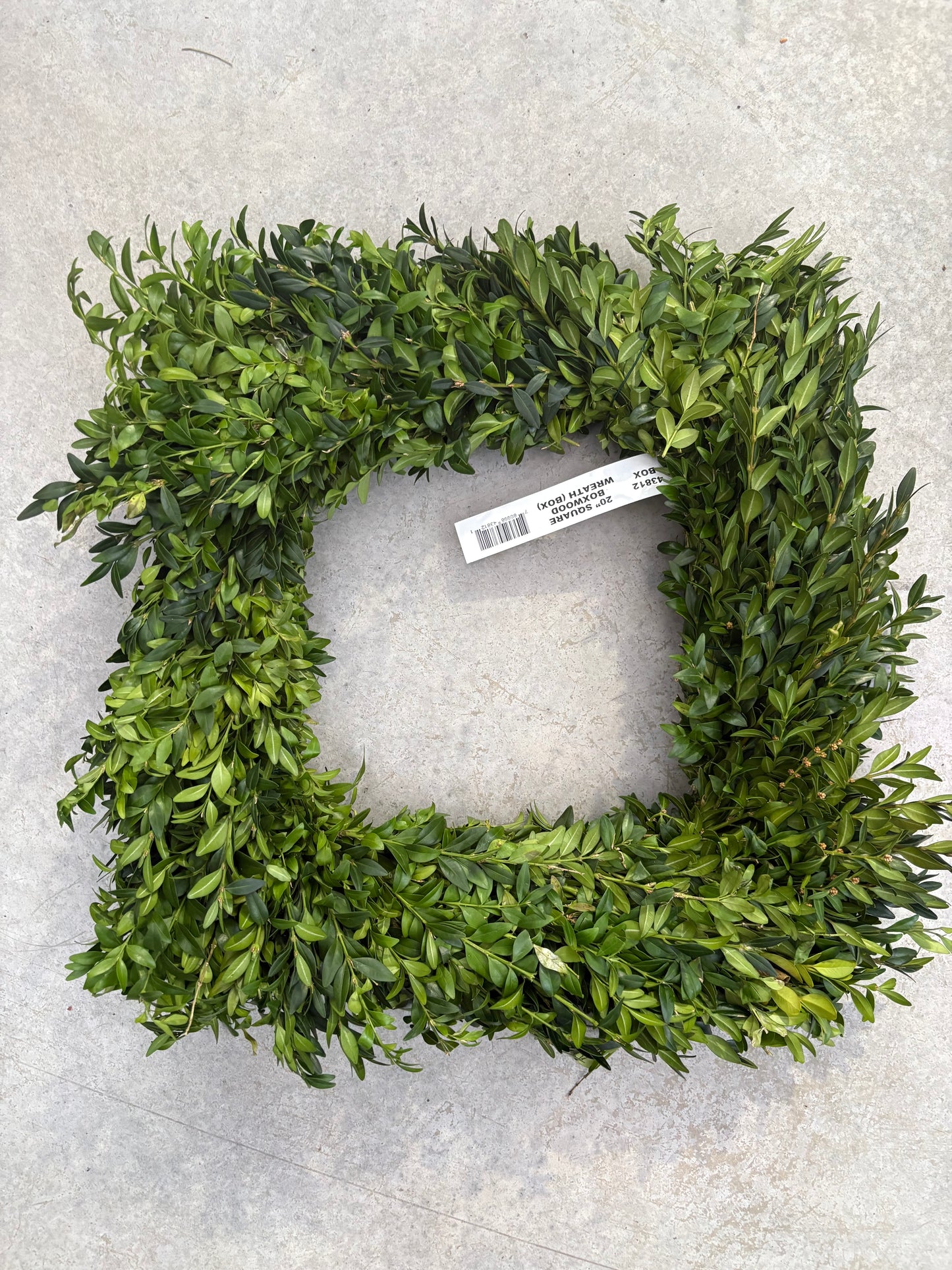Green Square Boxwood Wreath 20" wreath with a label on a gray background