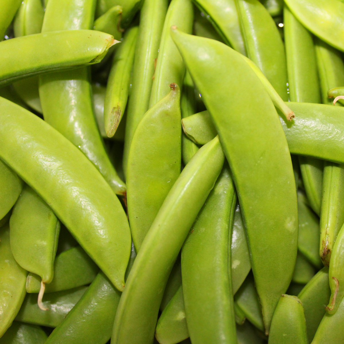 A close-up pile of fresh green sugar snap peas
