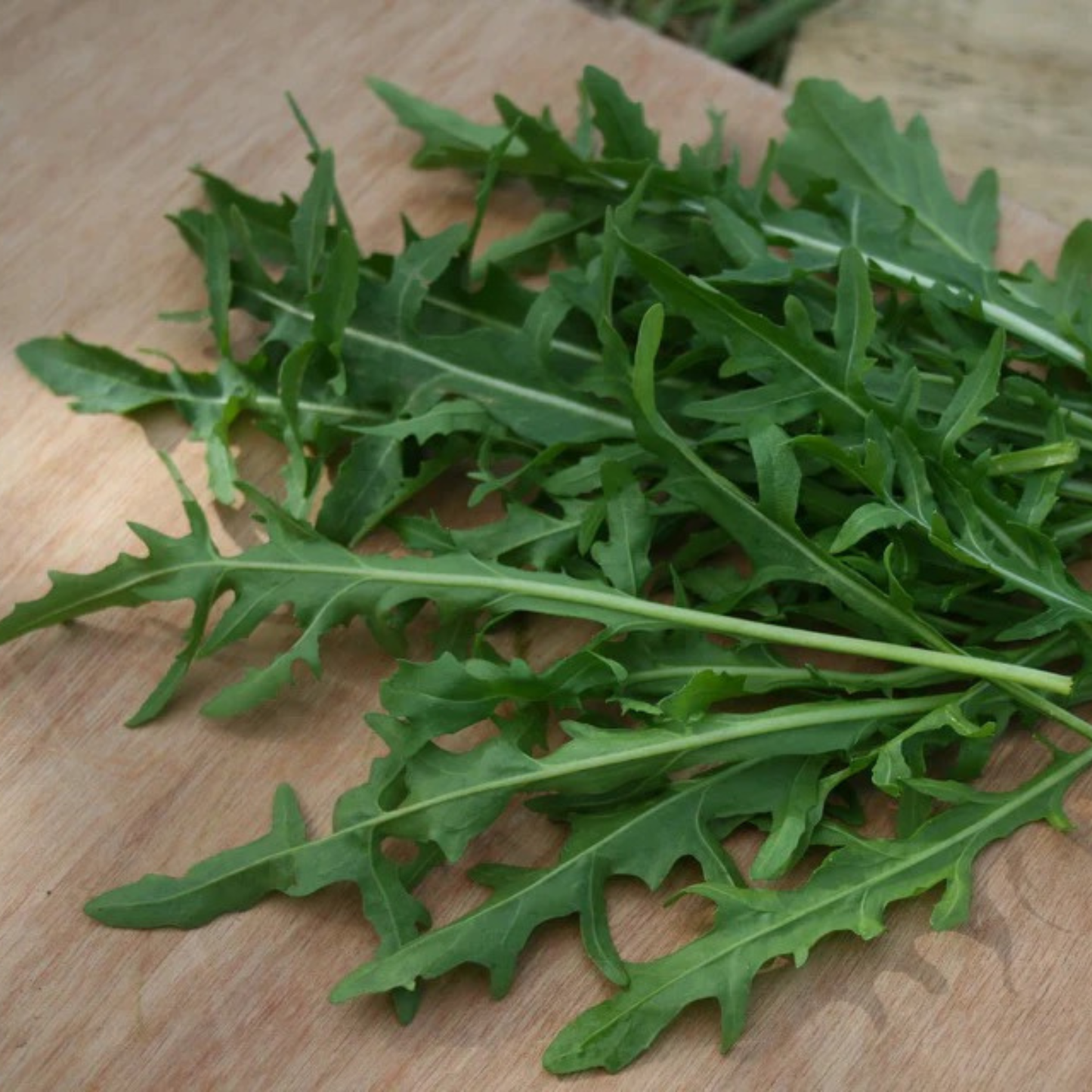 picture of Surrey arugula laying on a wooden block