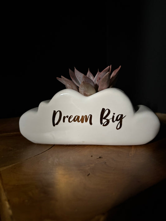 White cloud-shaped ceramic pot with 'Dream Big' text and a succulent inside with a dark background