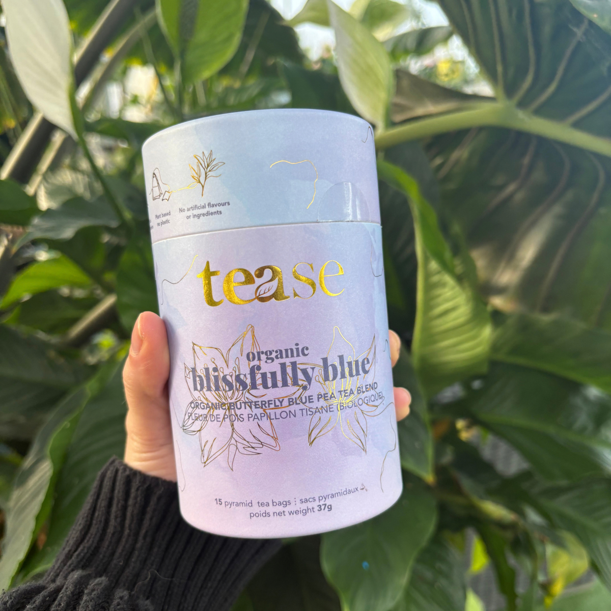 a person holding a light blue tin container labeled tease organic blissfully blue organic butterfly blue pea tea blend