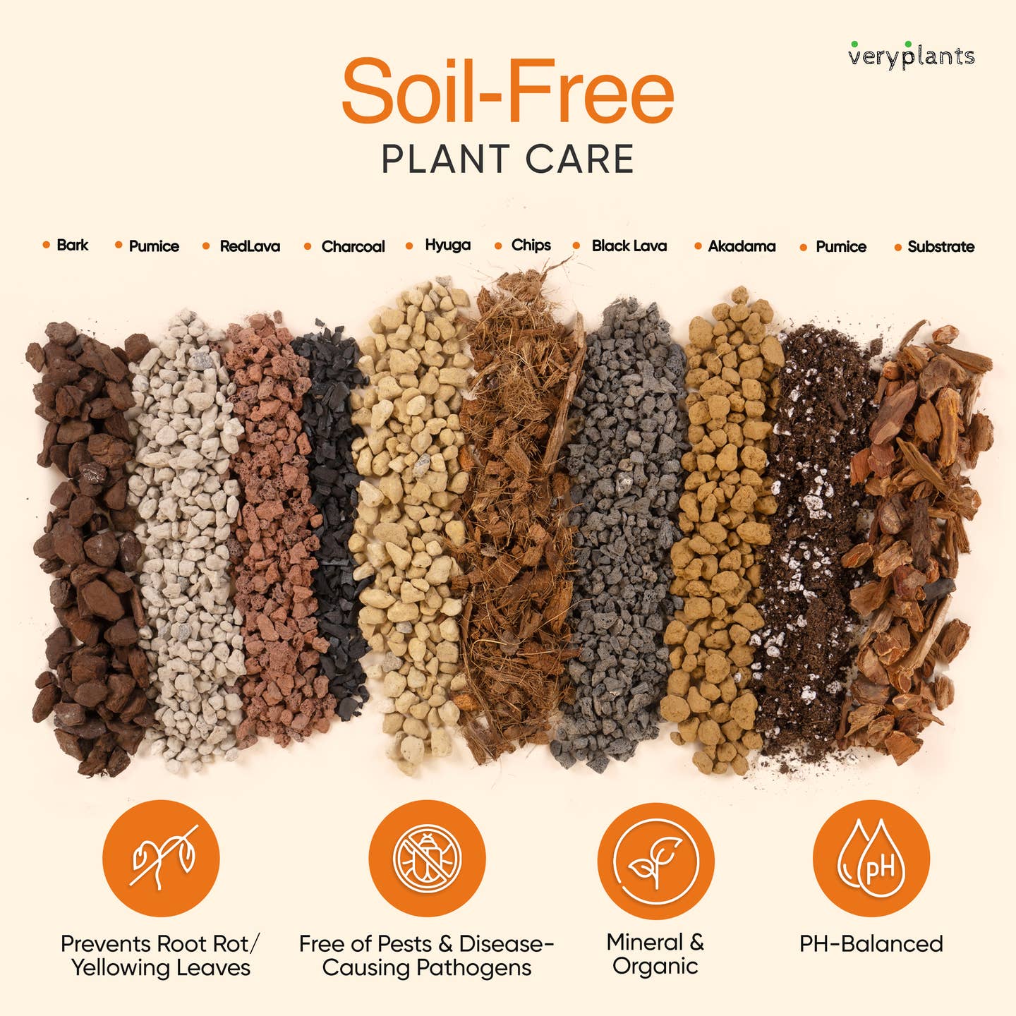 Mélange pour plantes succulentes de Molly – Terreau granuleux de qualité supérieure pour cactus et plantes succulentes