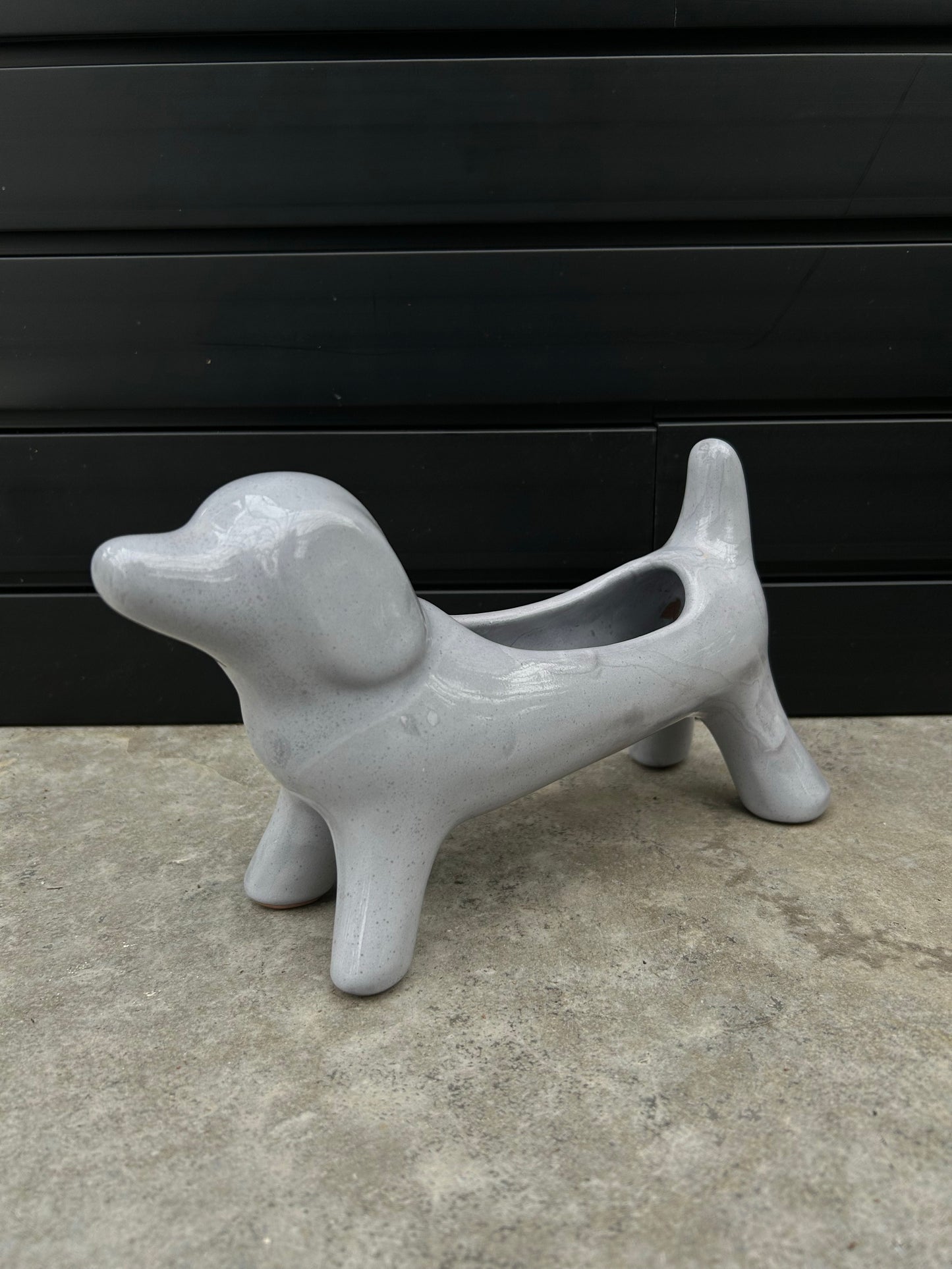 gray ceramic dog planter pot on concrete floor with black background