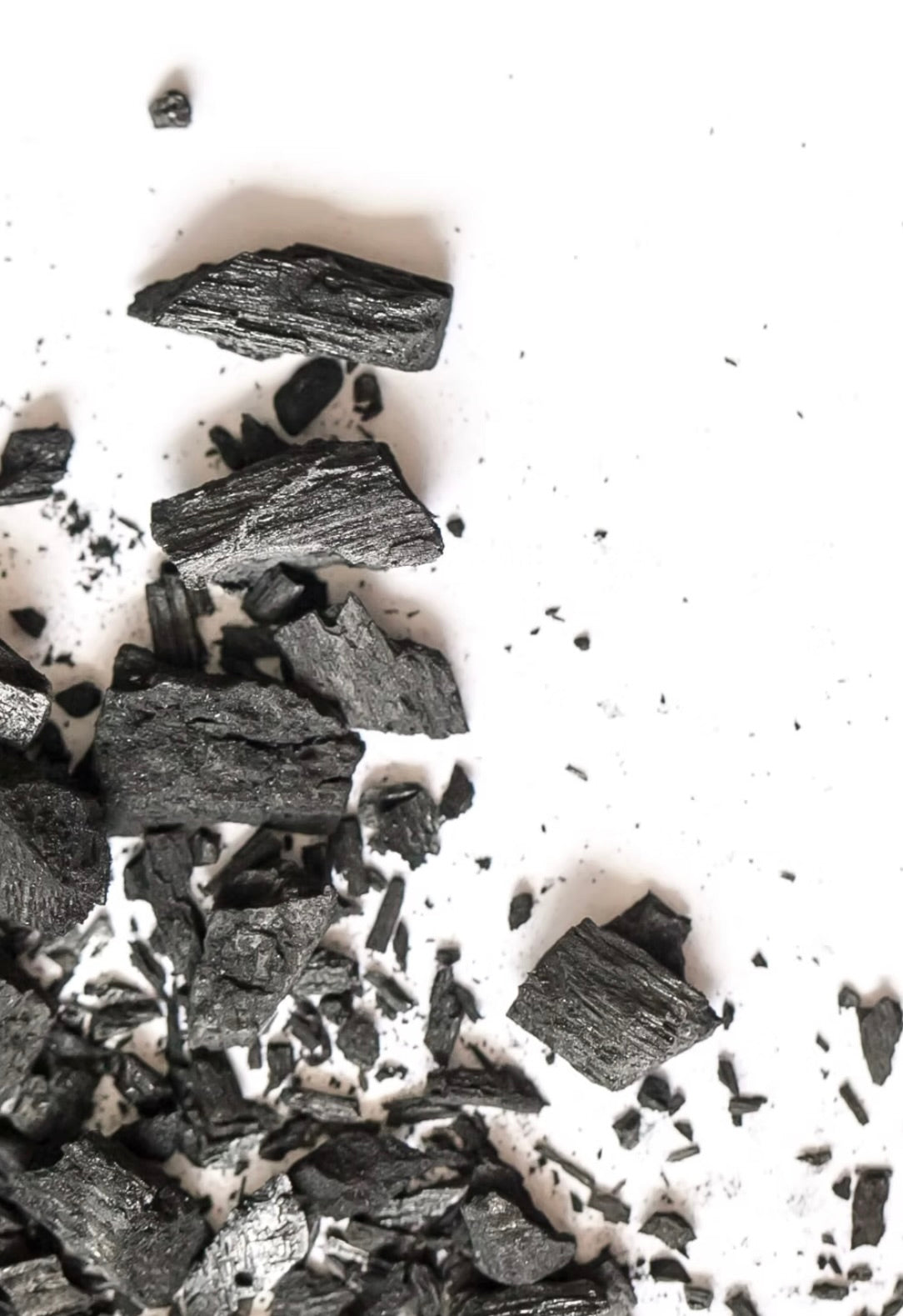 Black horticultural charcoal pieces on a white background