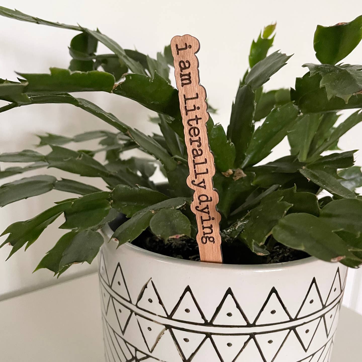 Funny Plant Stakes – Humorous Plant Markers for Pots & Gardens
