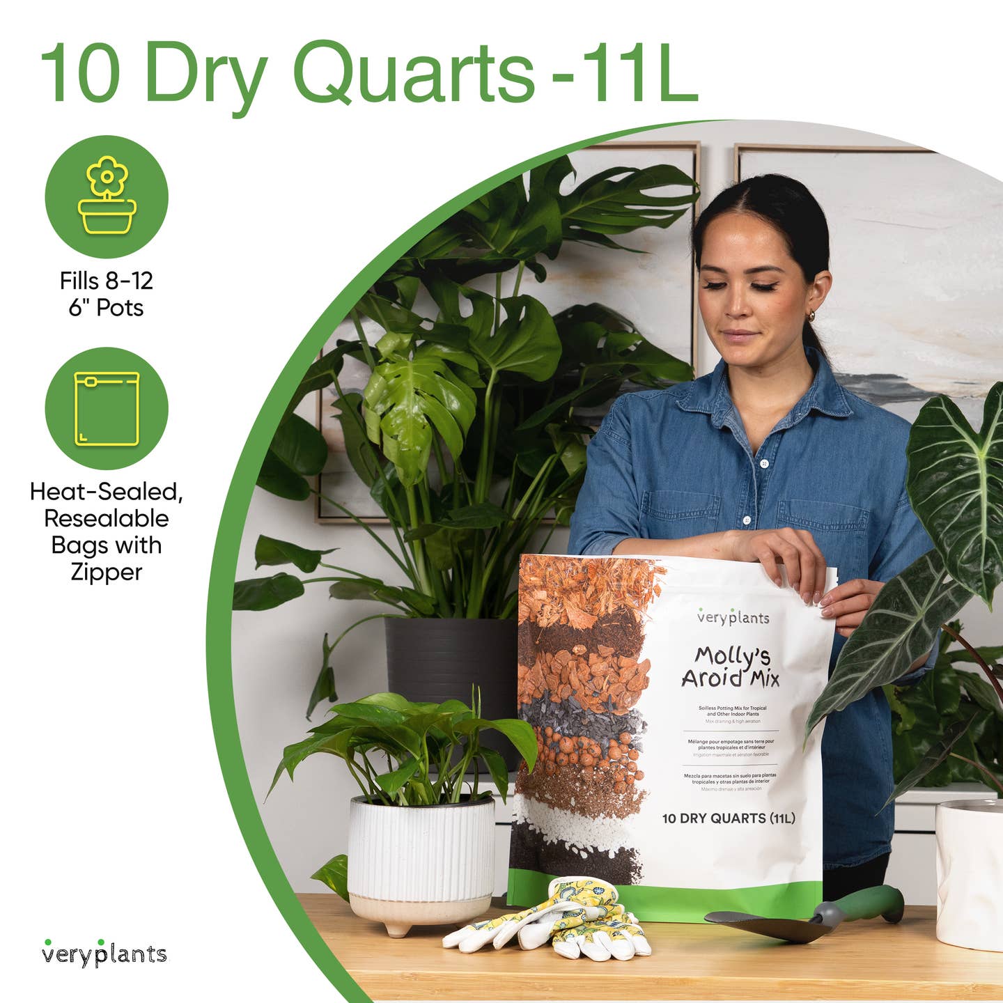 Molly's Aroid Mix - Premium Tropical Plant Soilless Potting