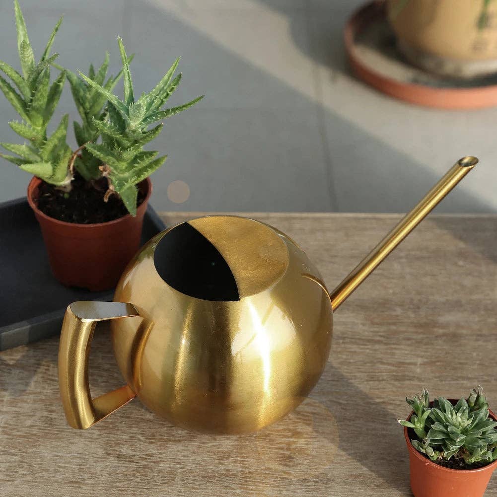 A sleek, gold-colored watering can with a long spout and a handle, placed on a wooden surface next to two potted plants.