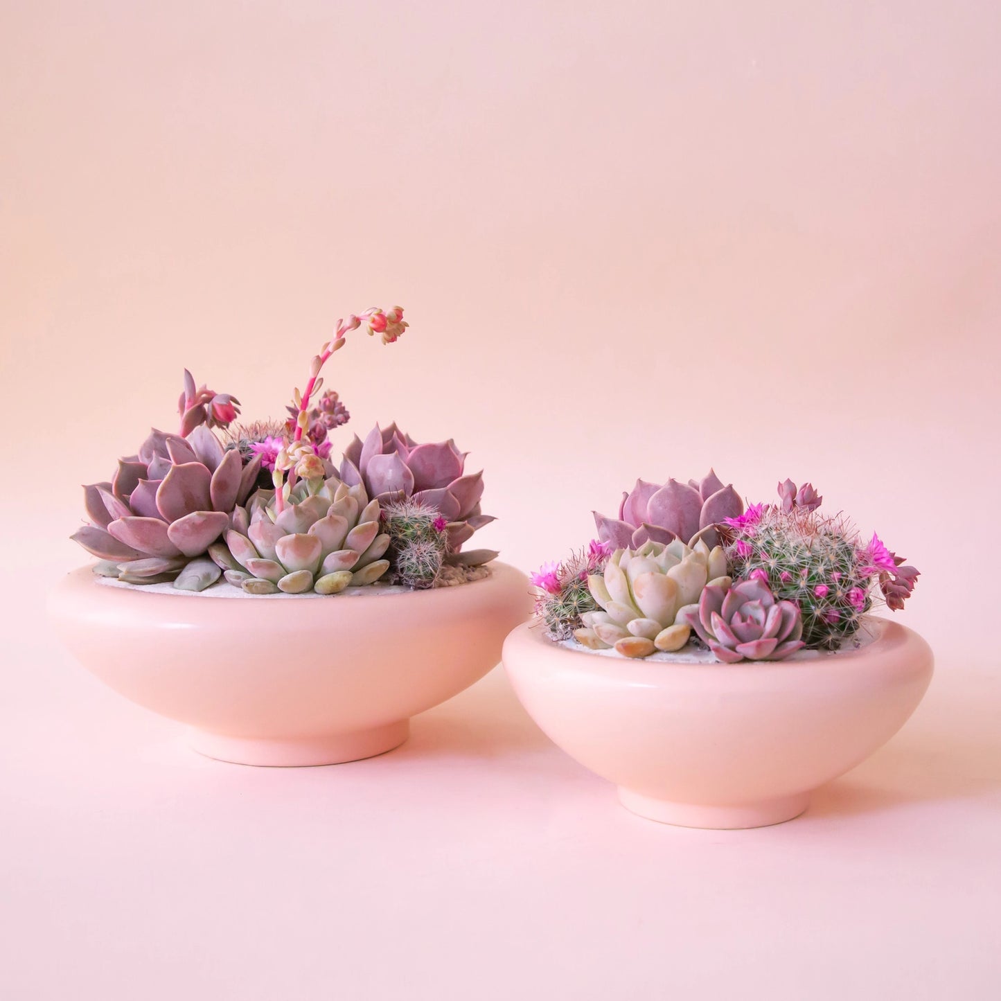 Plant Arrangement Workshop – Lethbridge
