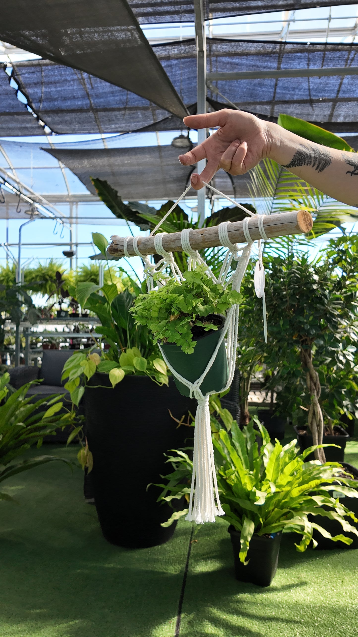 Person holding a macrame plant hanger with plants inside in a greenhouse setting