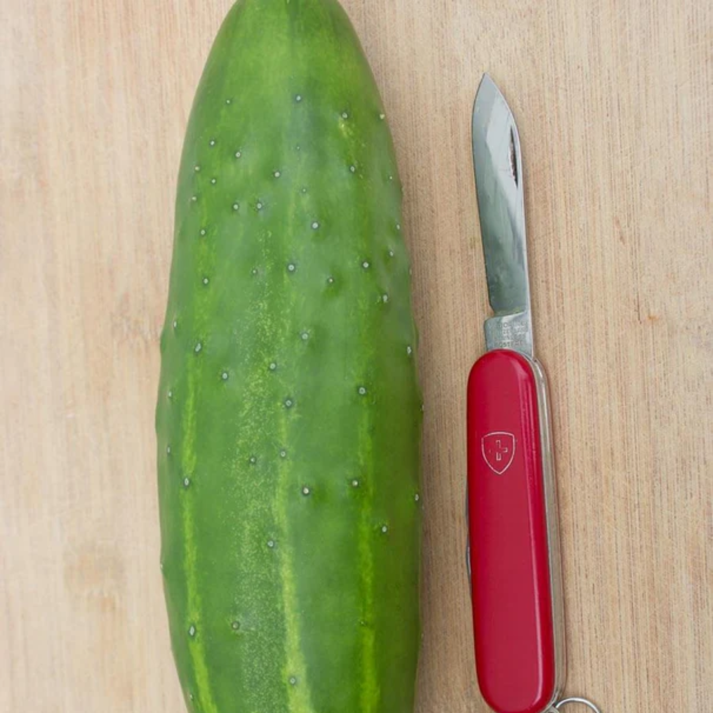 a large green marketmore cucumber resting on a wooden surface next to a red Swiss army knife