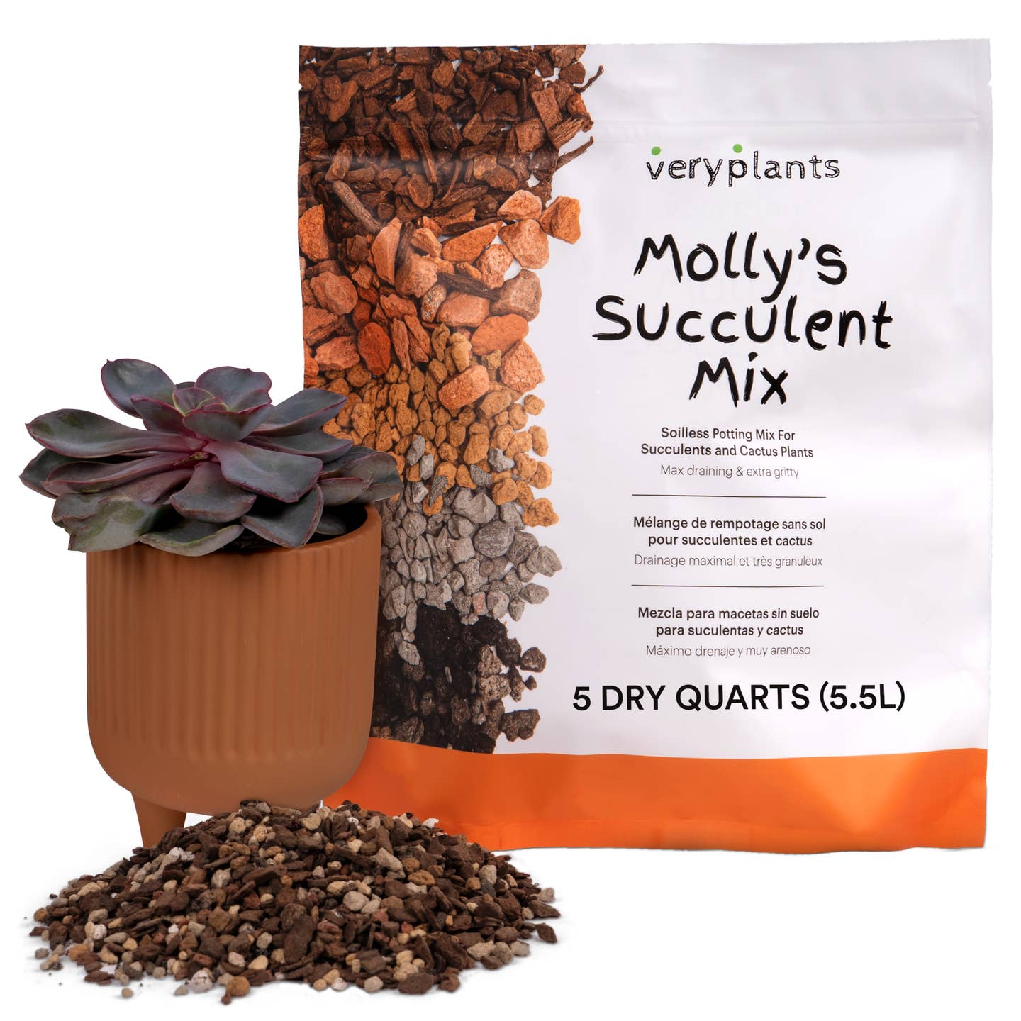 A package of Molly's Succulent Mix soilless potting mix next to a container with dry plants and soil, indicating the product is for succulents and cacti.