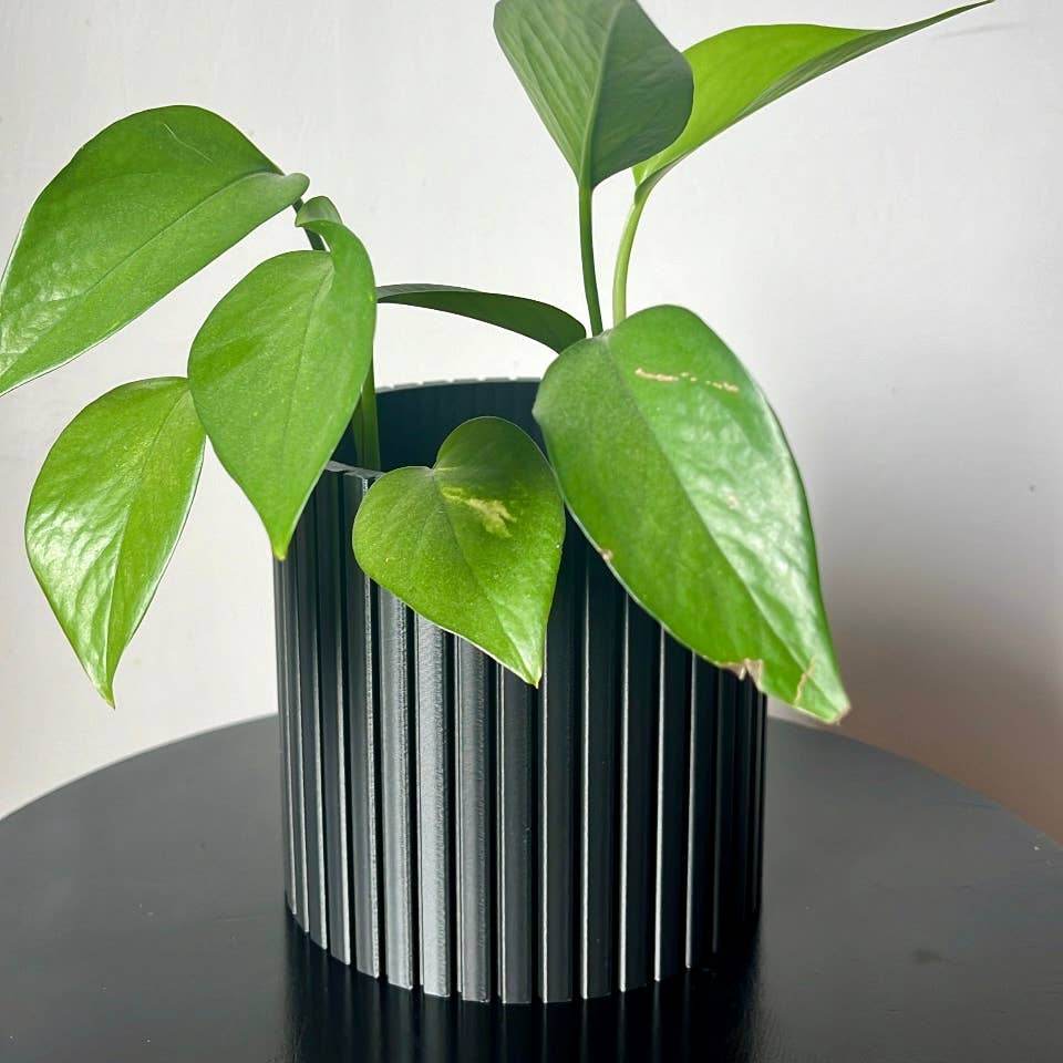 A green plant pot with a minimalist design, containing a single green leafy plant, set against a black background.