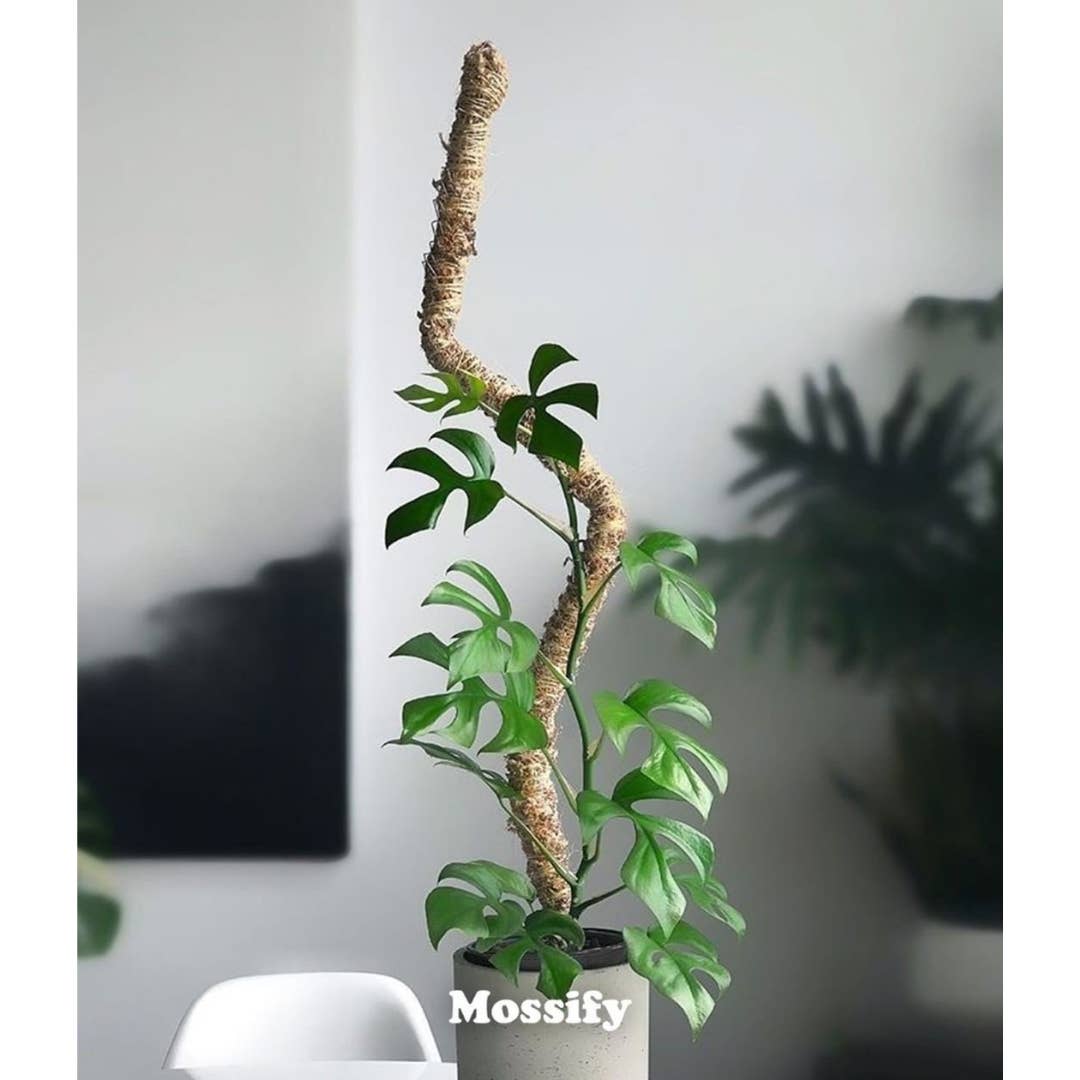 thickly moss pole Bendable Moss Pole