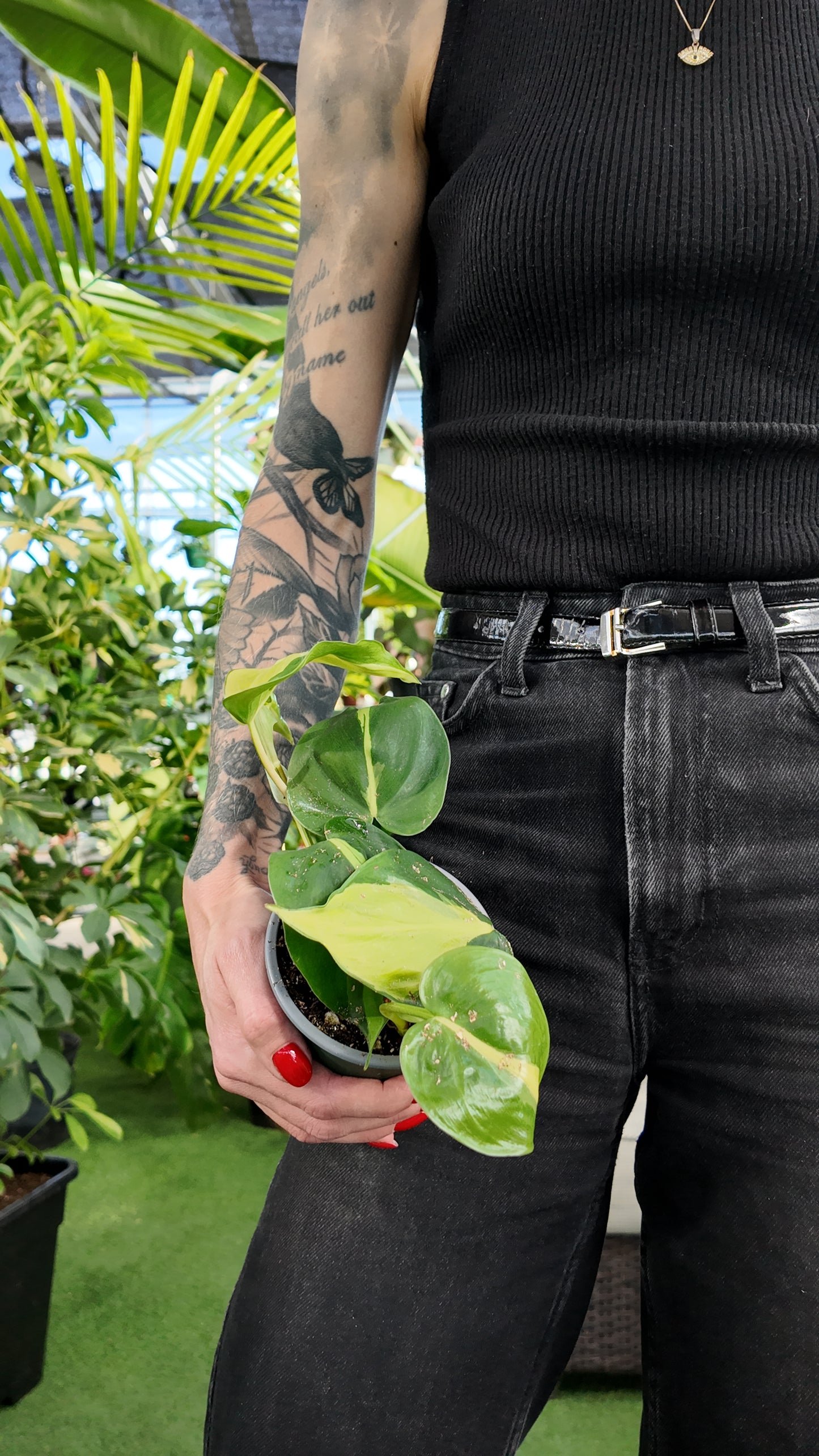 Person holding a potted philodendron Brazil plant with tattoos on their arm, standing in a garden setting.