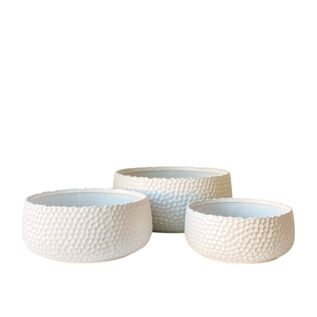 A set of three white ceramic planters with a dotted design, in varying sizes.