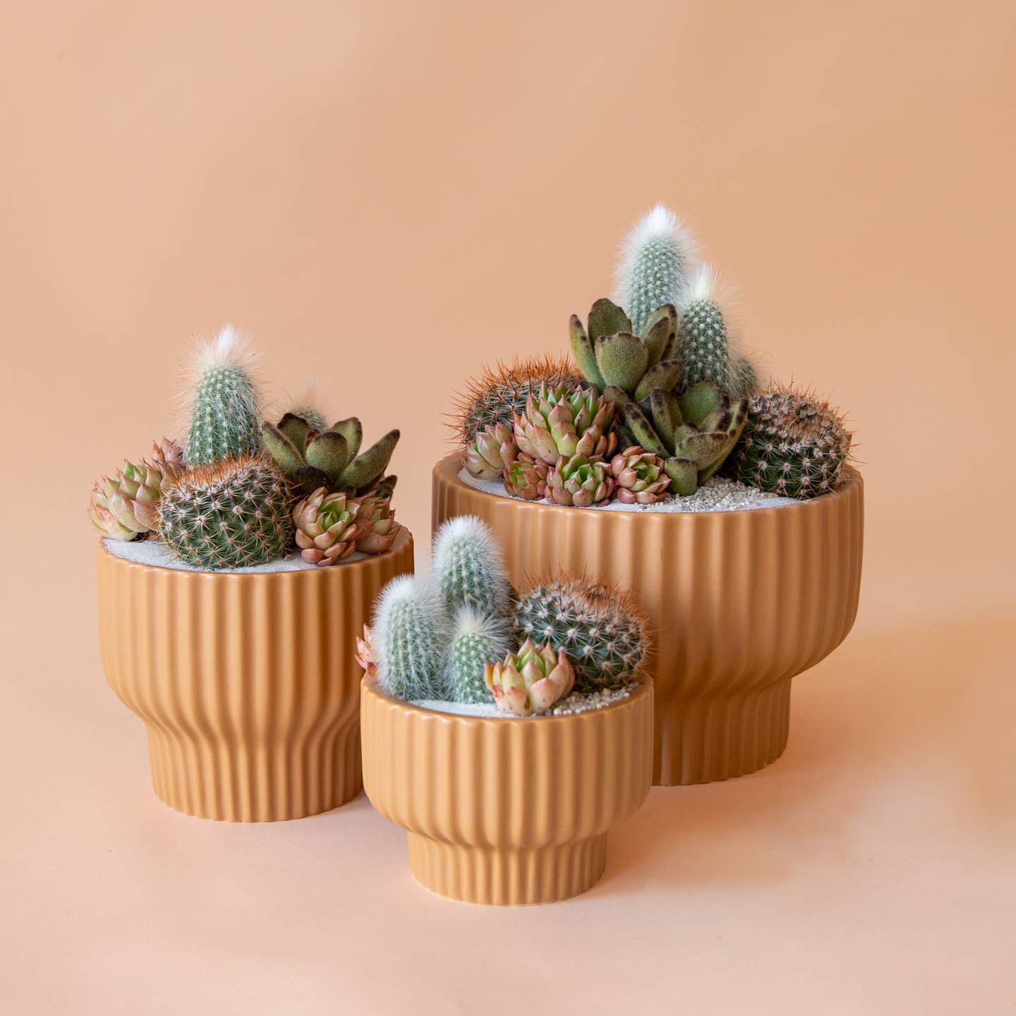 Three ceramic pedestal planters in beige with succulent plants, arranged against a beige background.