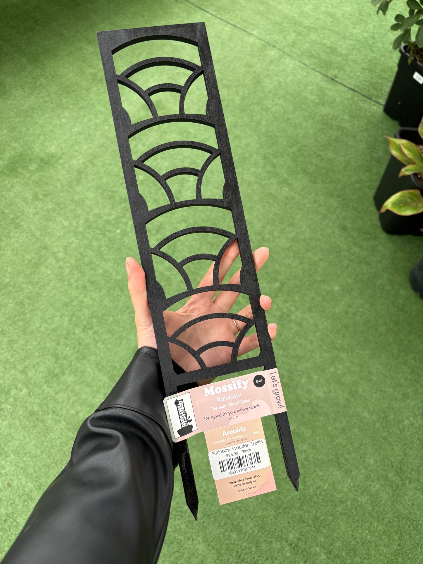 a person holding a rainbow wooden trellis with green background