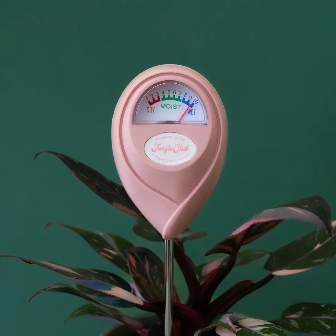 Pink soil moisture meter on a plant with a green background