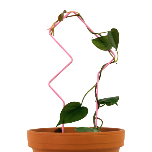 Potted plant with pink tetris trellis on a white background